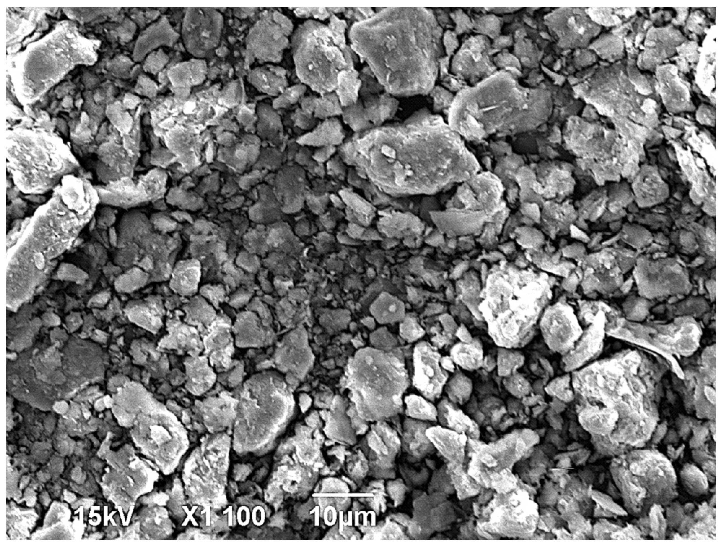 Applsci 15 08907 g004