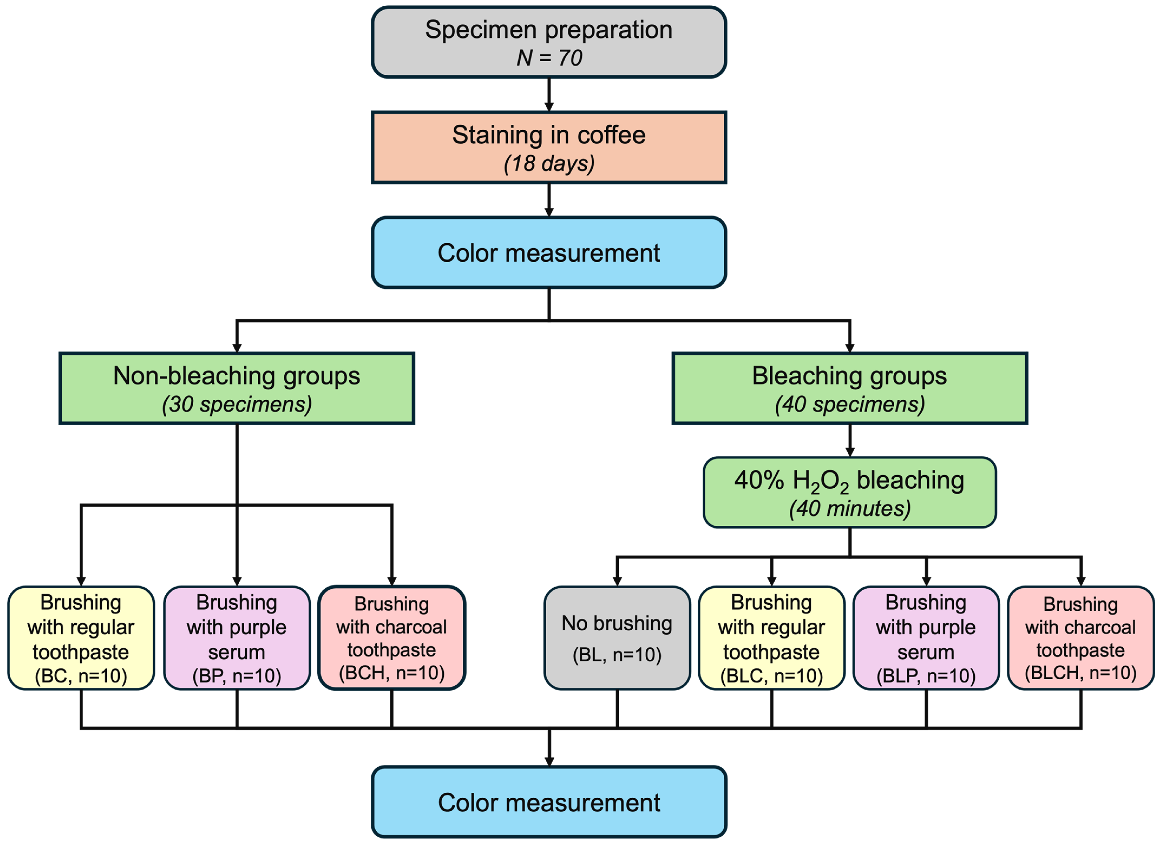 Applsci 15 08940 g001