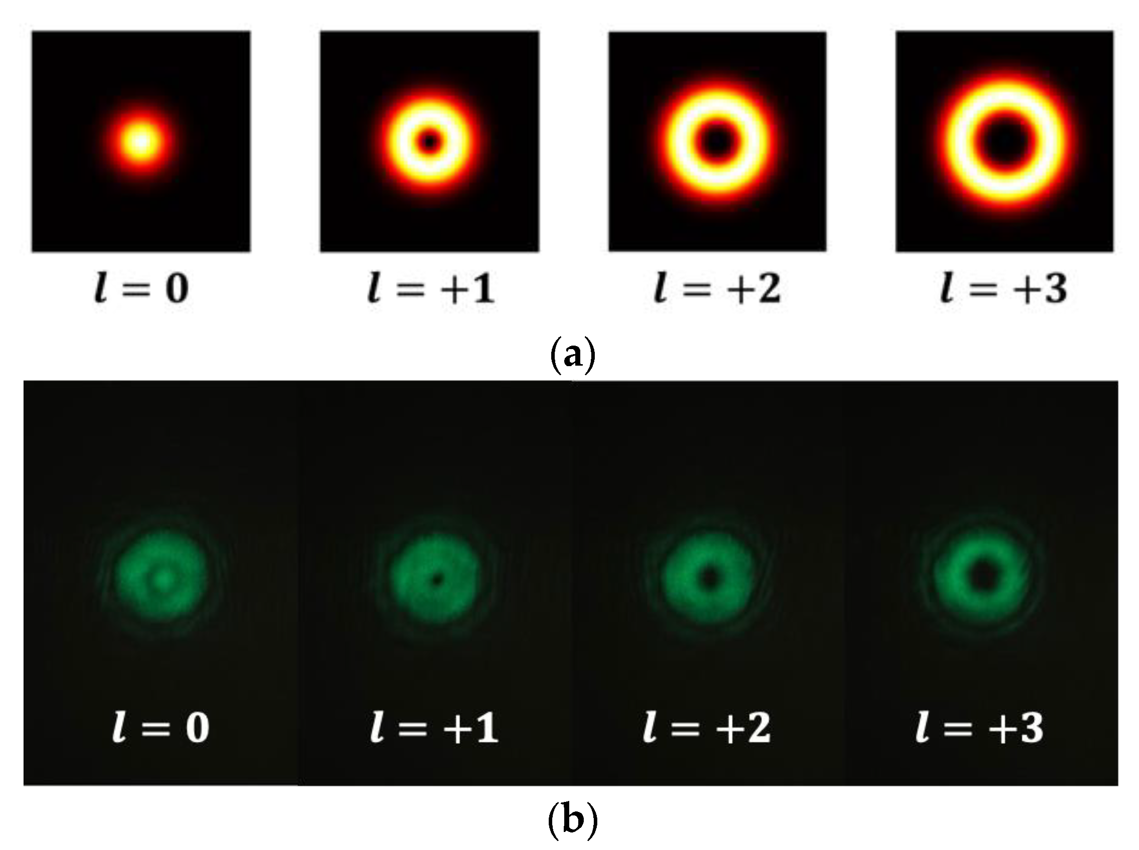 Applsci 15 08949 g003