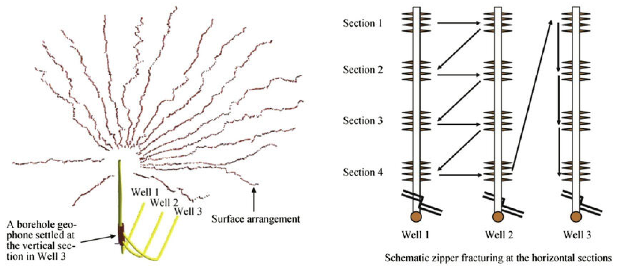 Applsci 15 09008 g001
