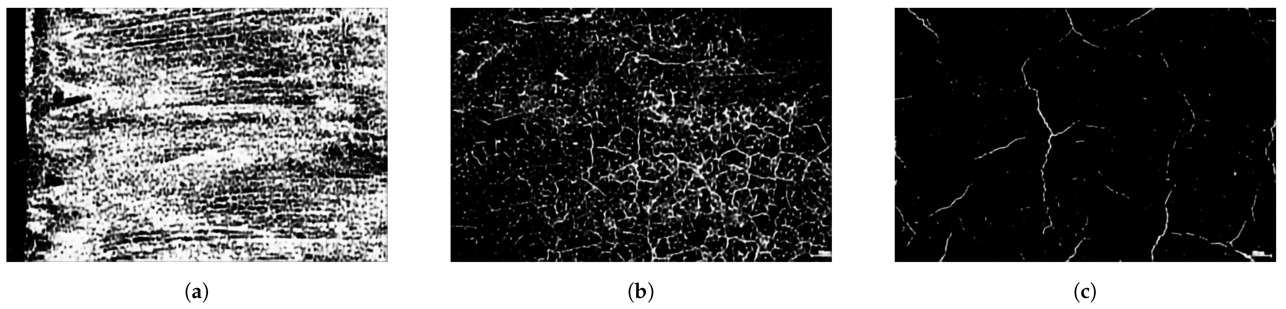 Applsci 15 09014 g007