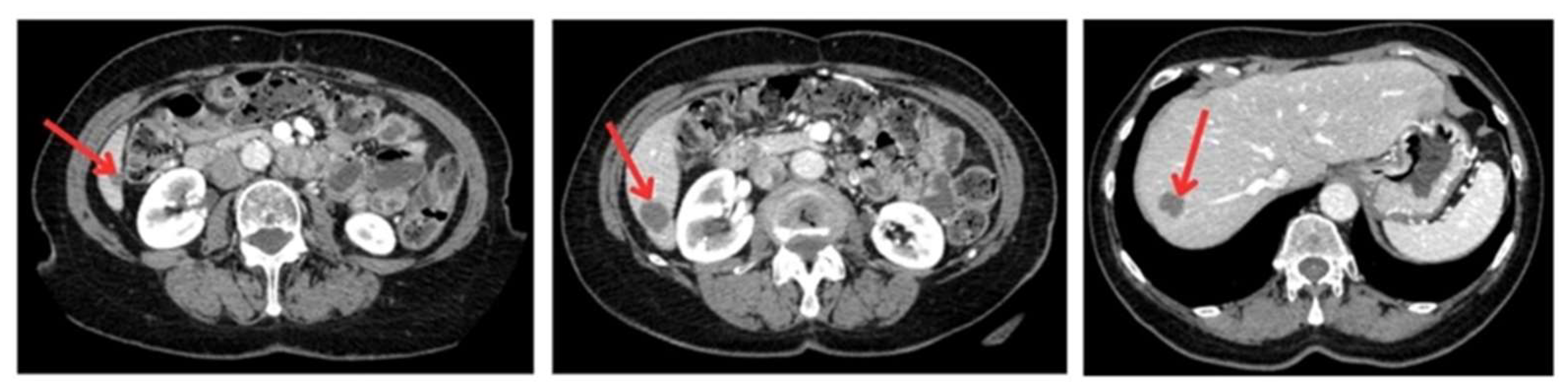 Applsci 15 09033 g002