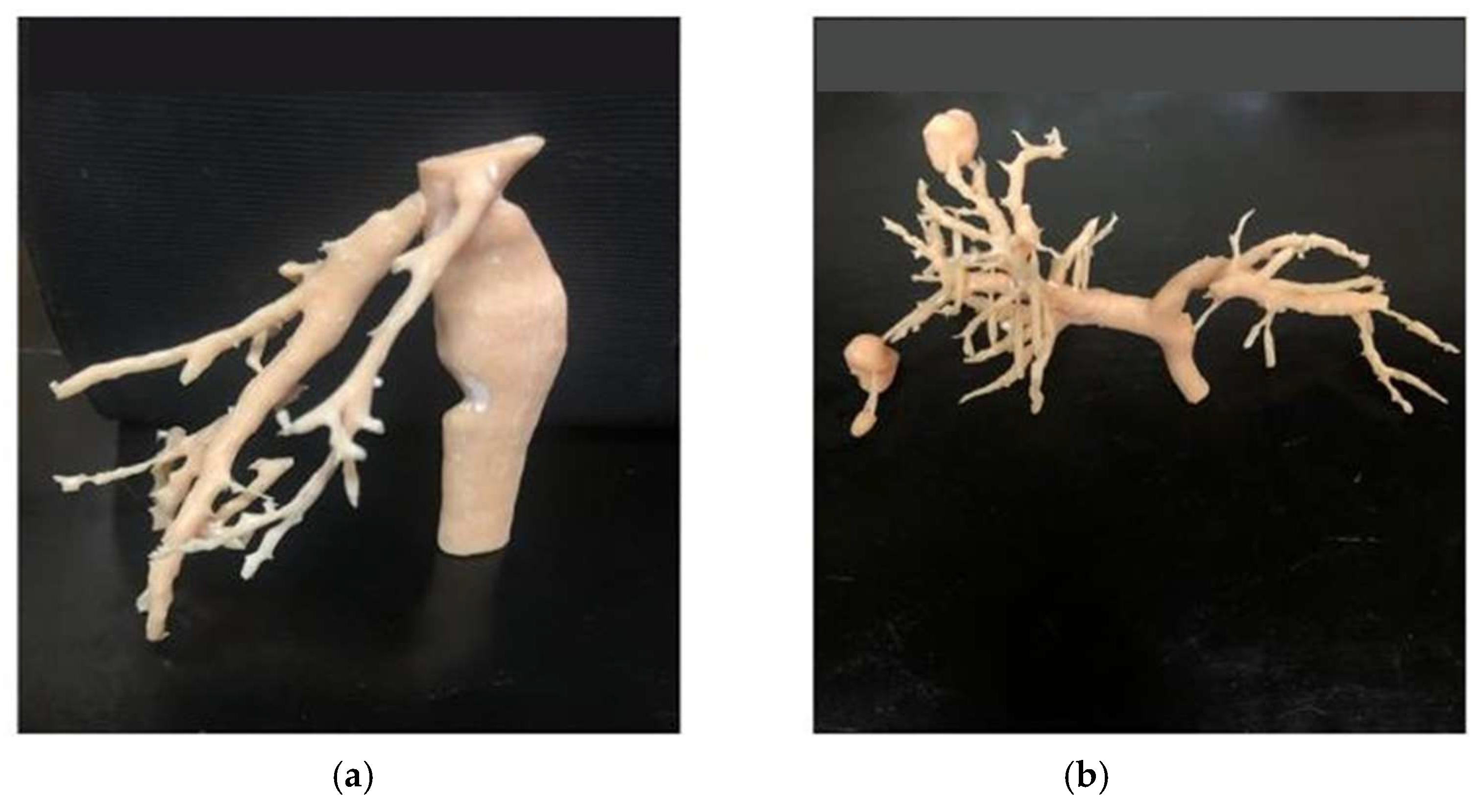 Applsci 15 09033 g007