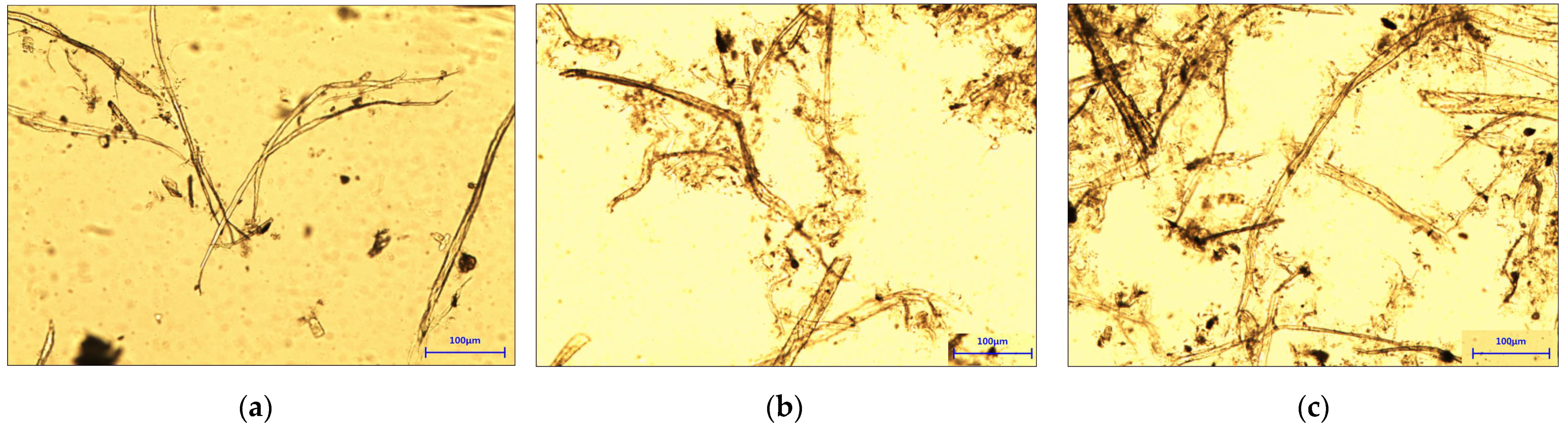 Applsci 15 09036 g007