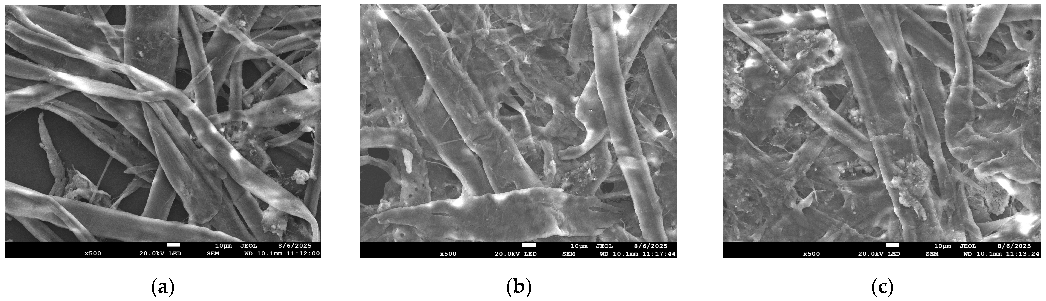 Applsci 15 09036 g008