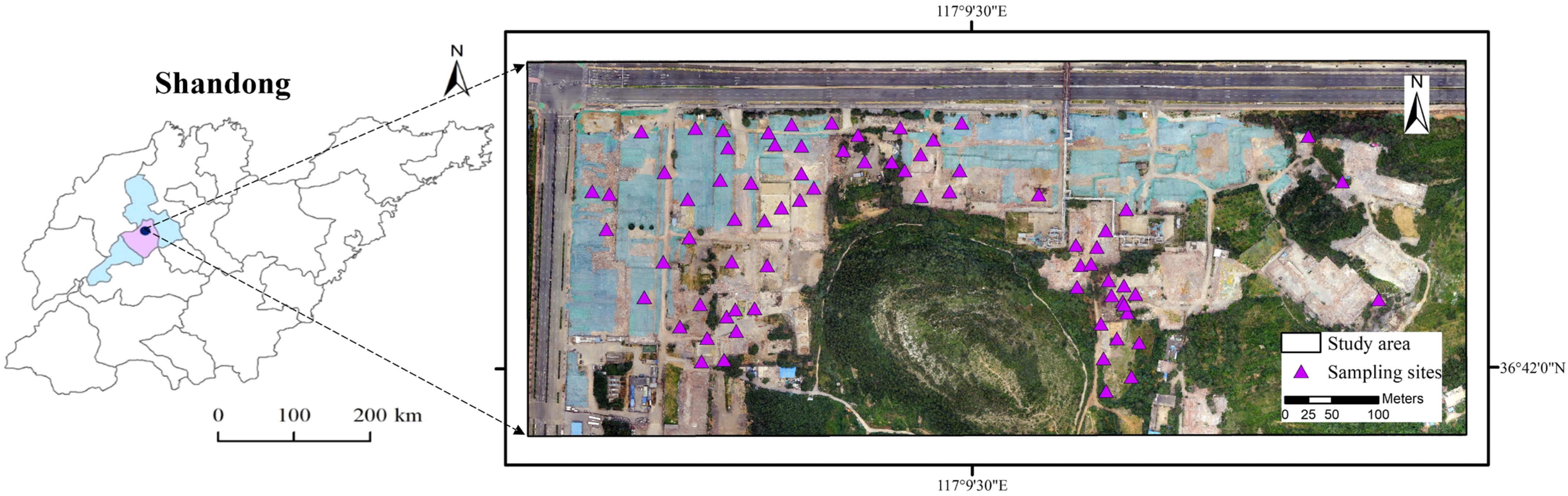 Applsci 15 09078 g001 Applsci 15 09078 g001