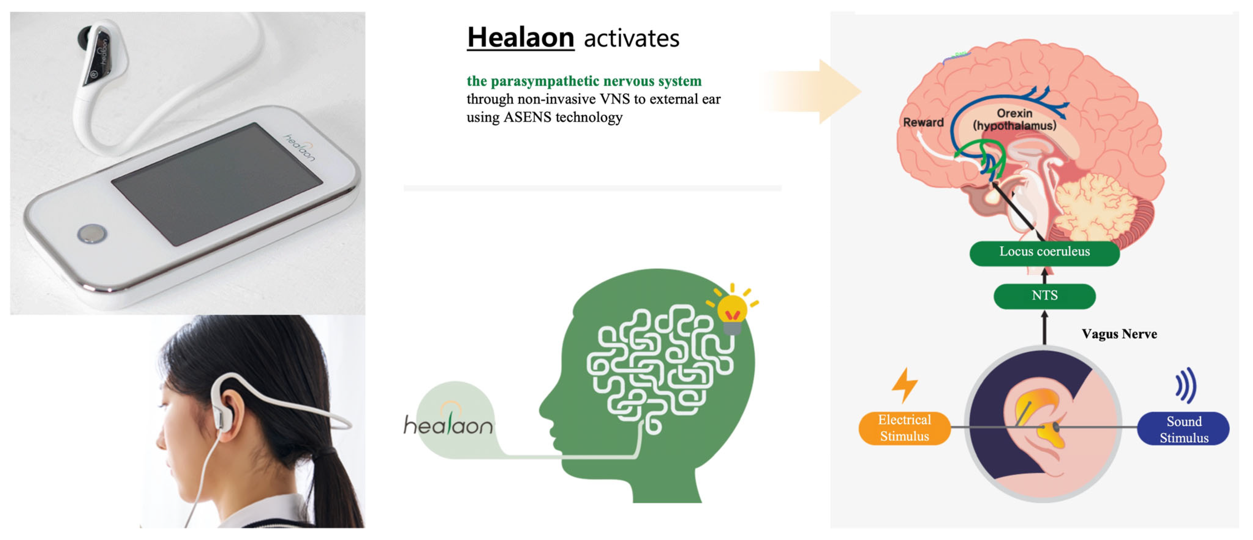 Applsci 15 09105 g001 Applsci 15 09105 g001