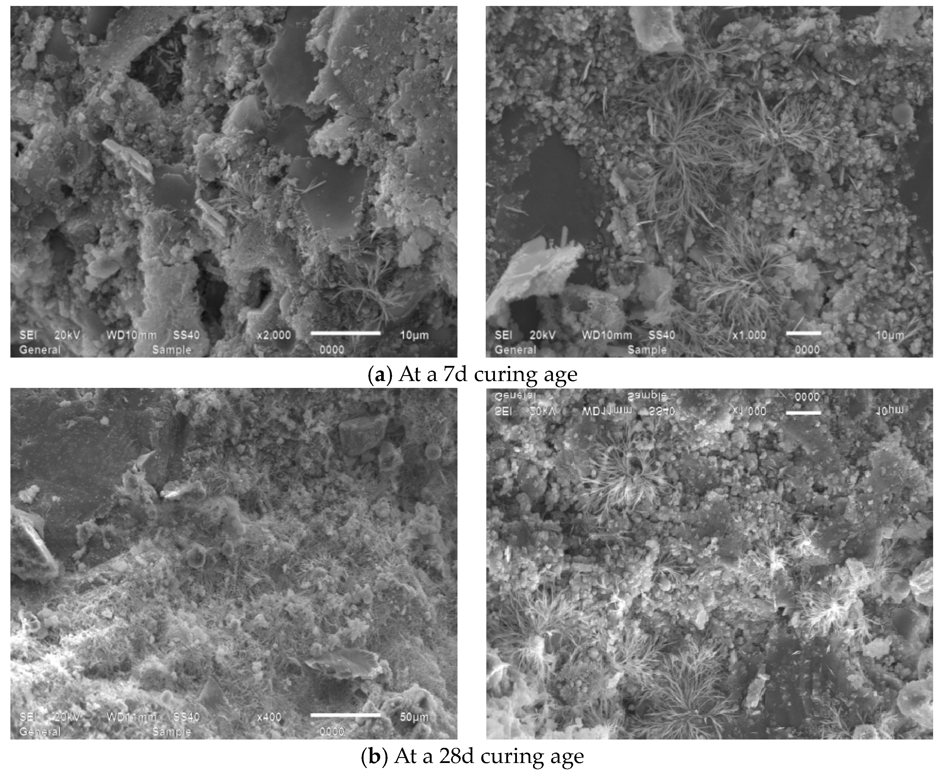 Applsci 15 09115 g015 Applsci 15 09115 g015