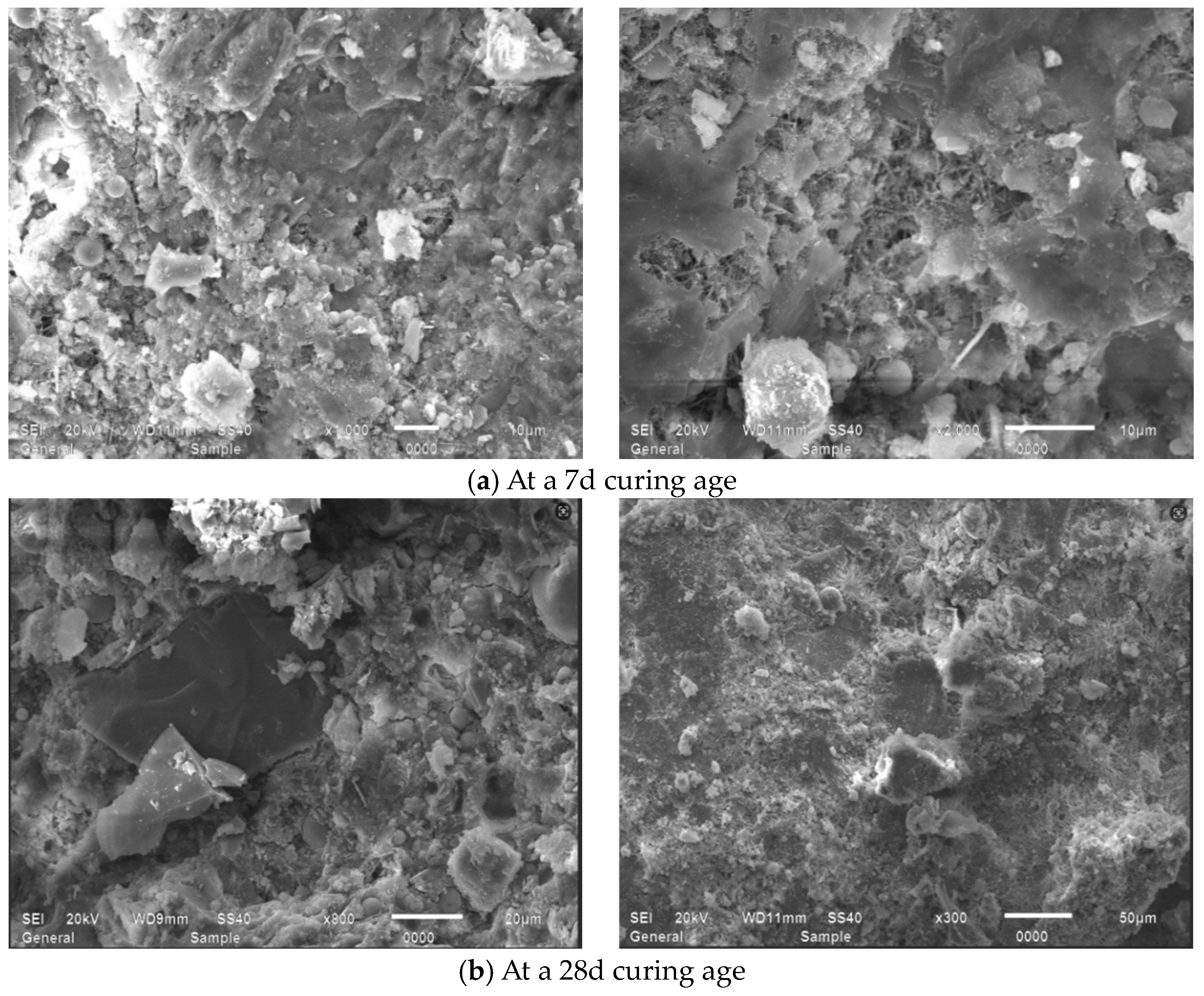 Applsci 15 09115 g016 Applsci 15 09115 g016