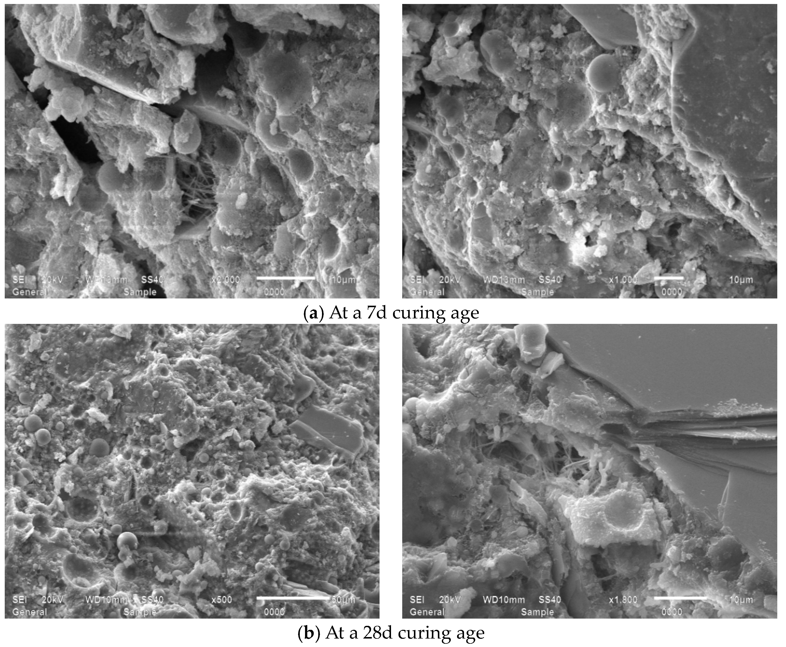 Applsci 15 09115 g017 Applsci 15 09115 g017