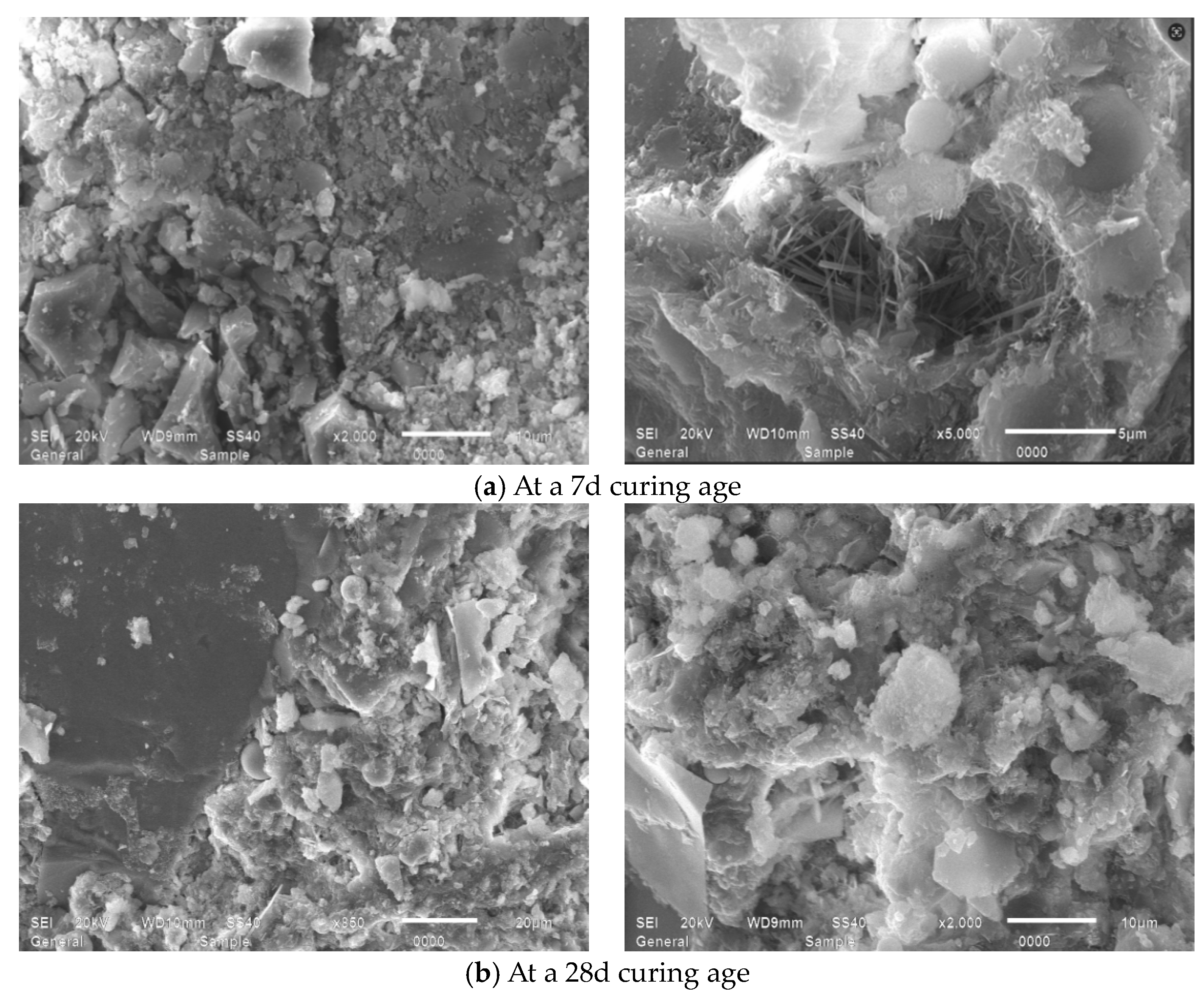 Applsci 15 09115 g018 Applsci 15 09115 g018