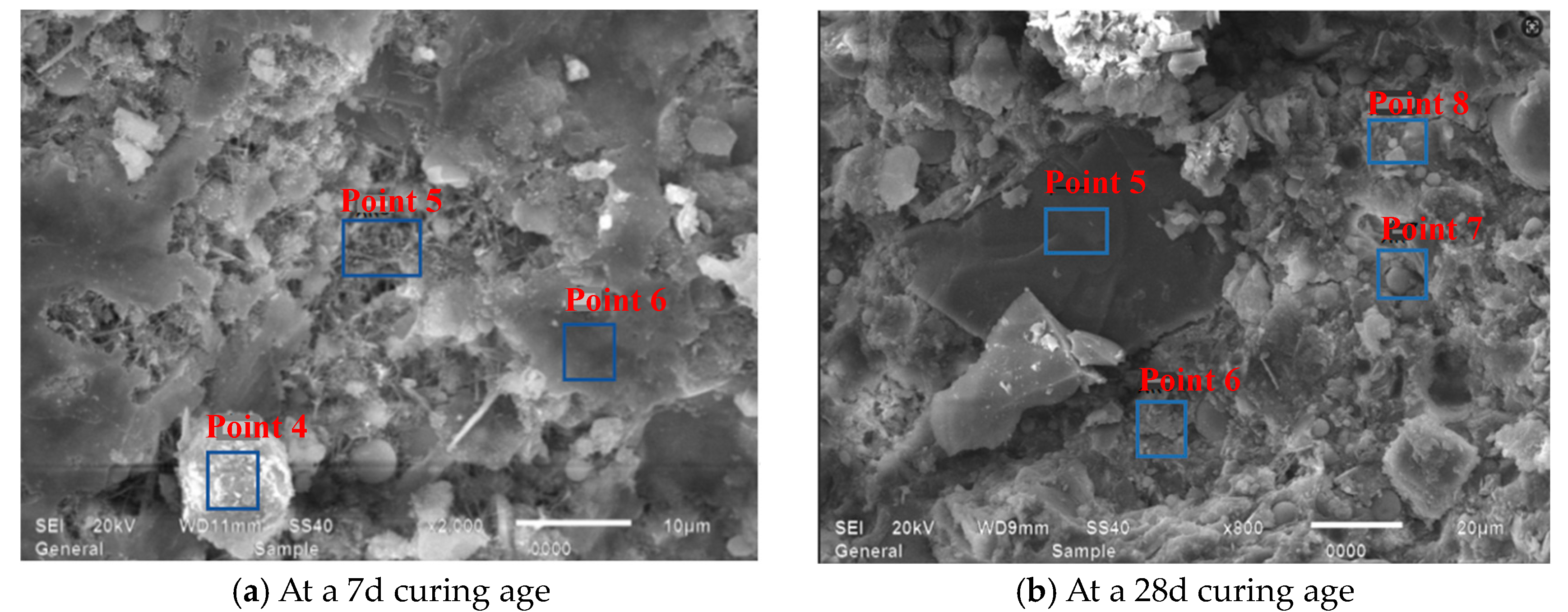 Applsci 15 09115 g022 Applsci 15 09115 g022