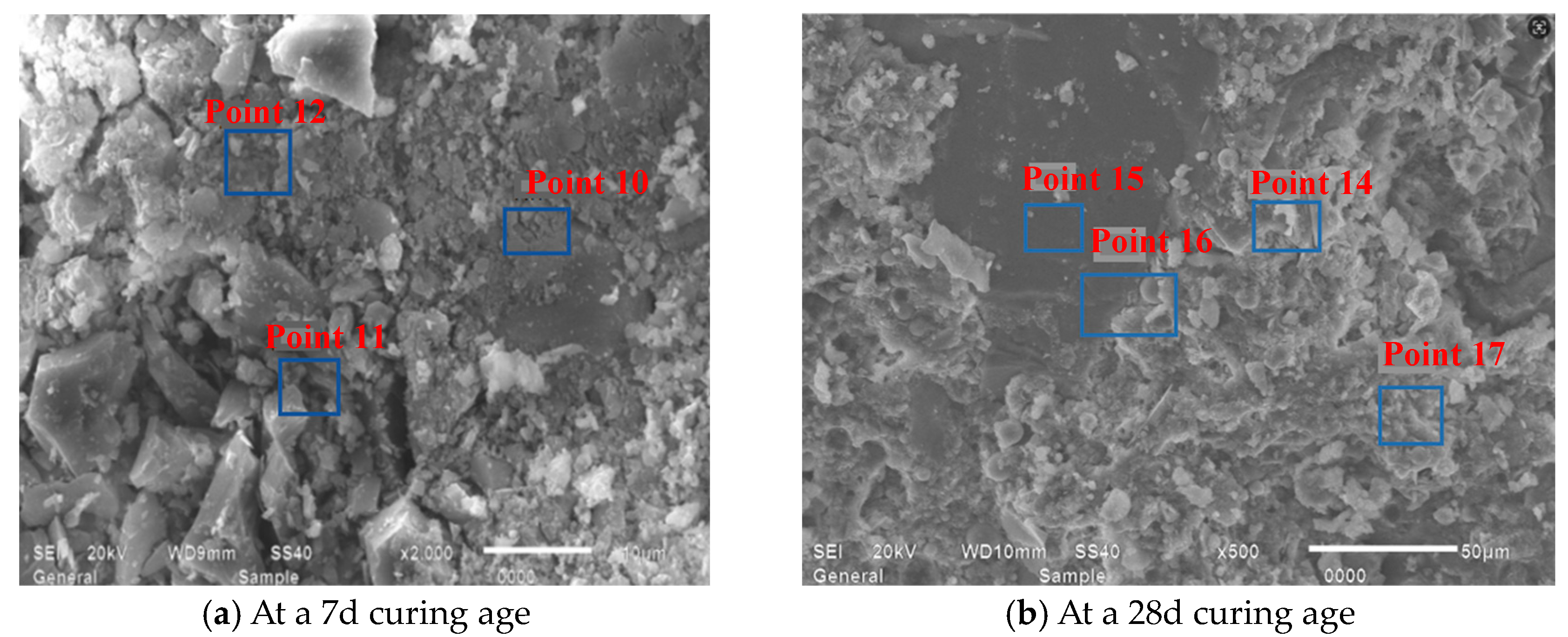 Applsci 15 09115 g024 Applsci 15 09115 g024