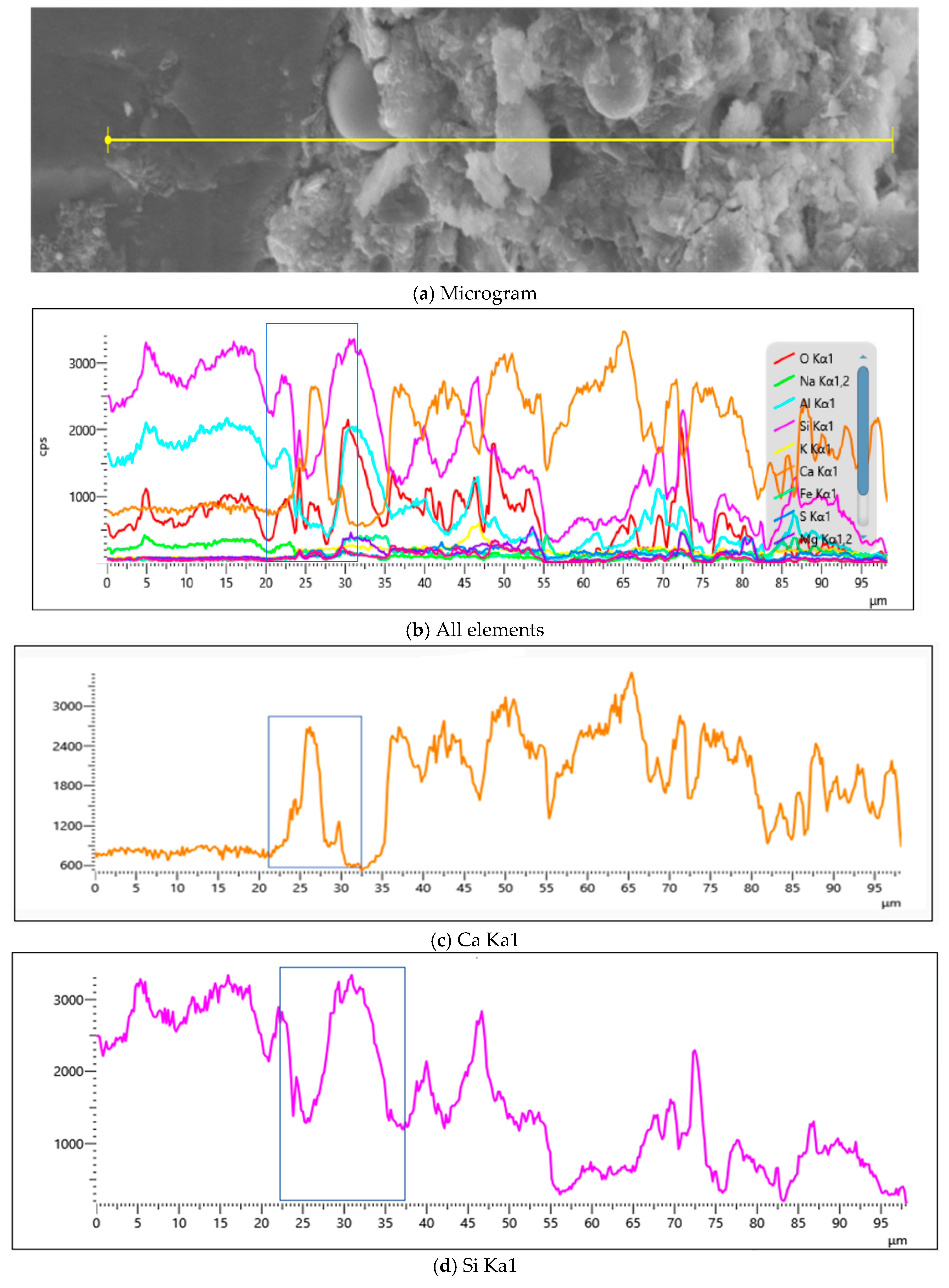 Applsci 15 09115 g027 Applsci 15 09115 g027