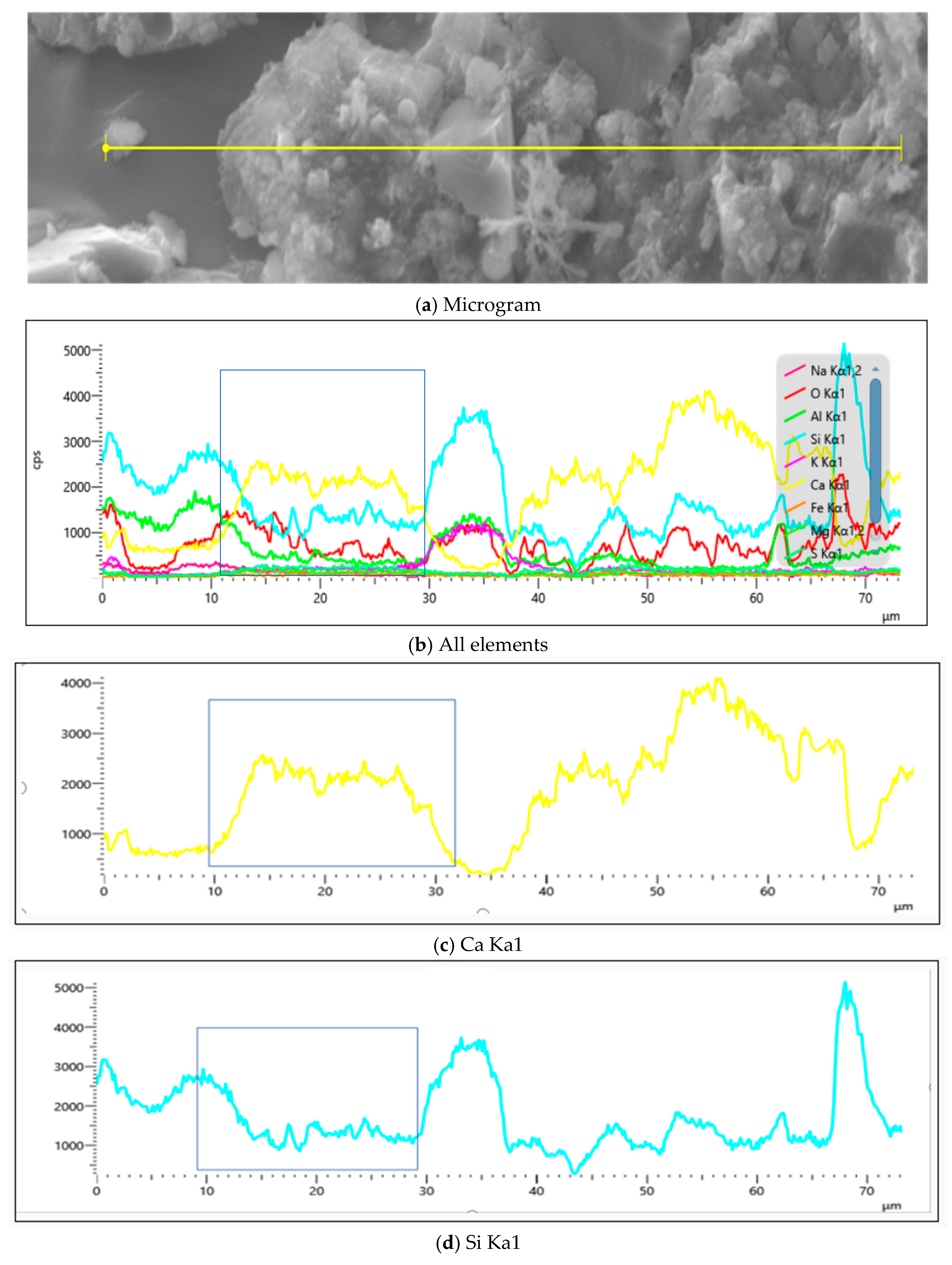 Applsci 15 09115 g028 Applsci 15 09115 g028