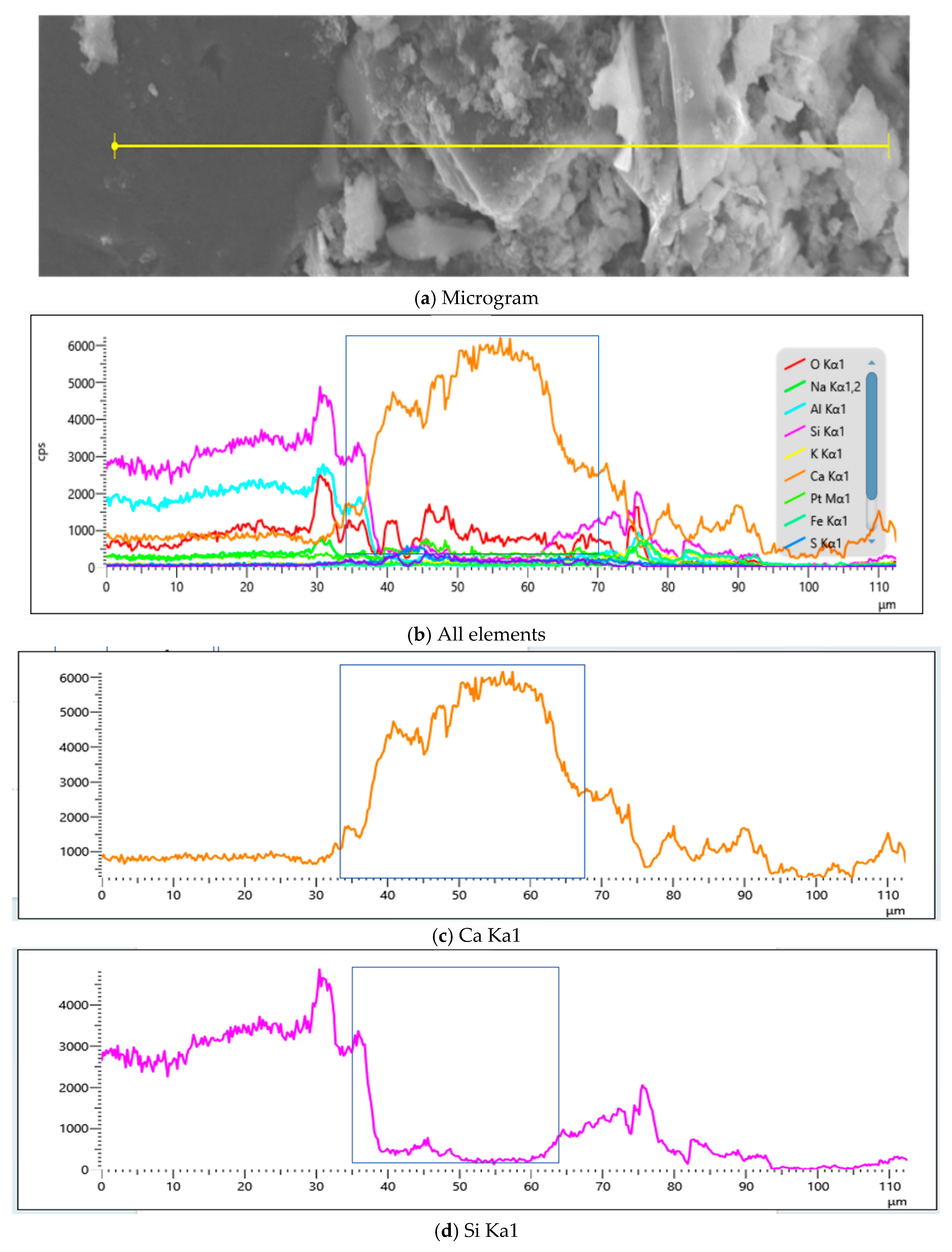 Applsci 15 09115 g029 Applsci 15 09115 g029