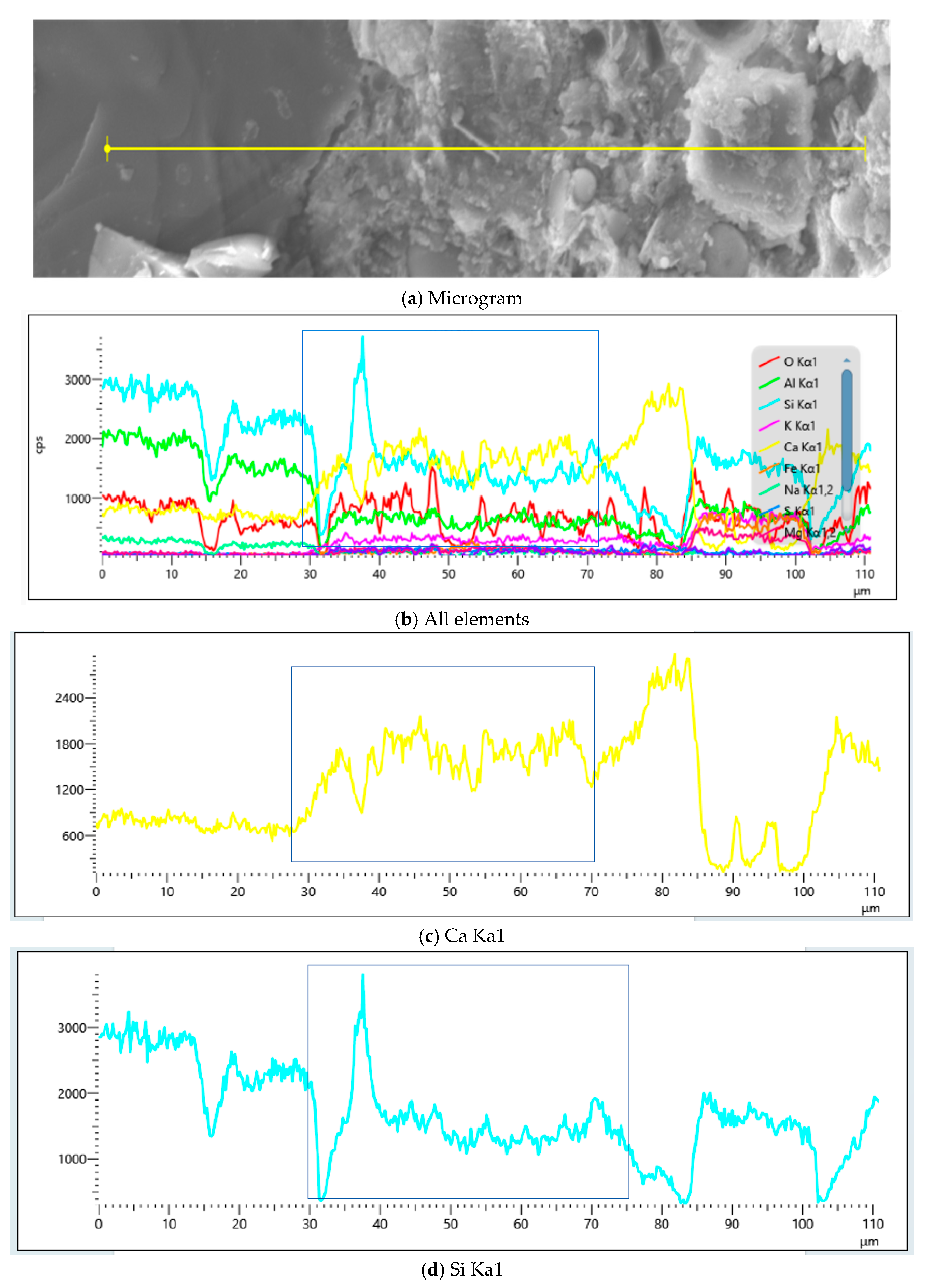 Applsci 15 09115 g030 Applsci 15 09115 g030