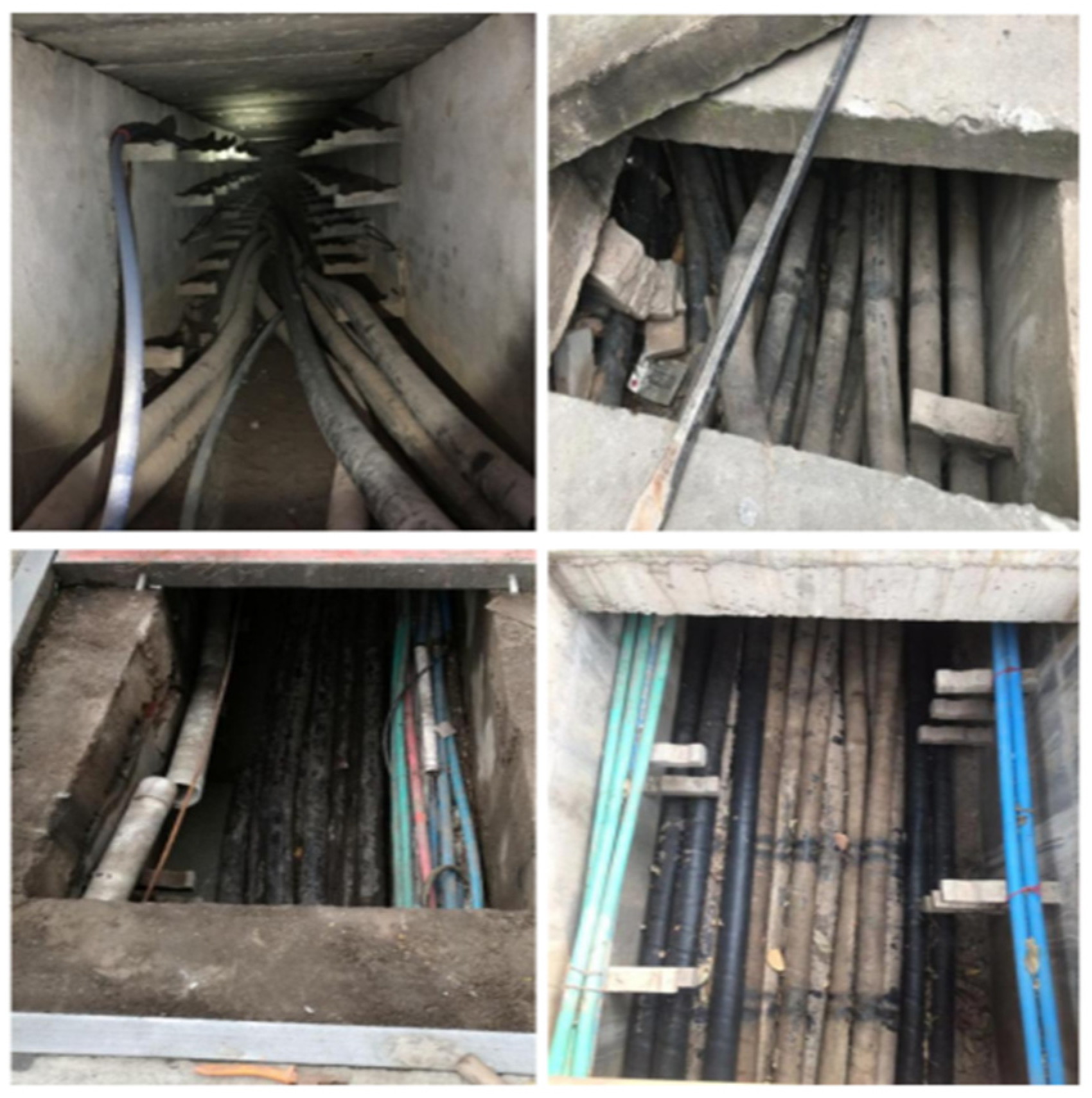 Applsci 15 09124 g001 Applsci 15 09124 g001