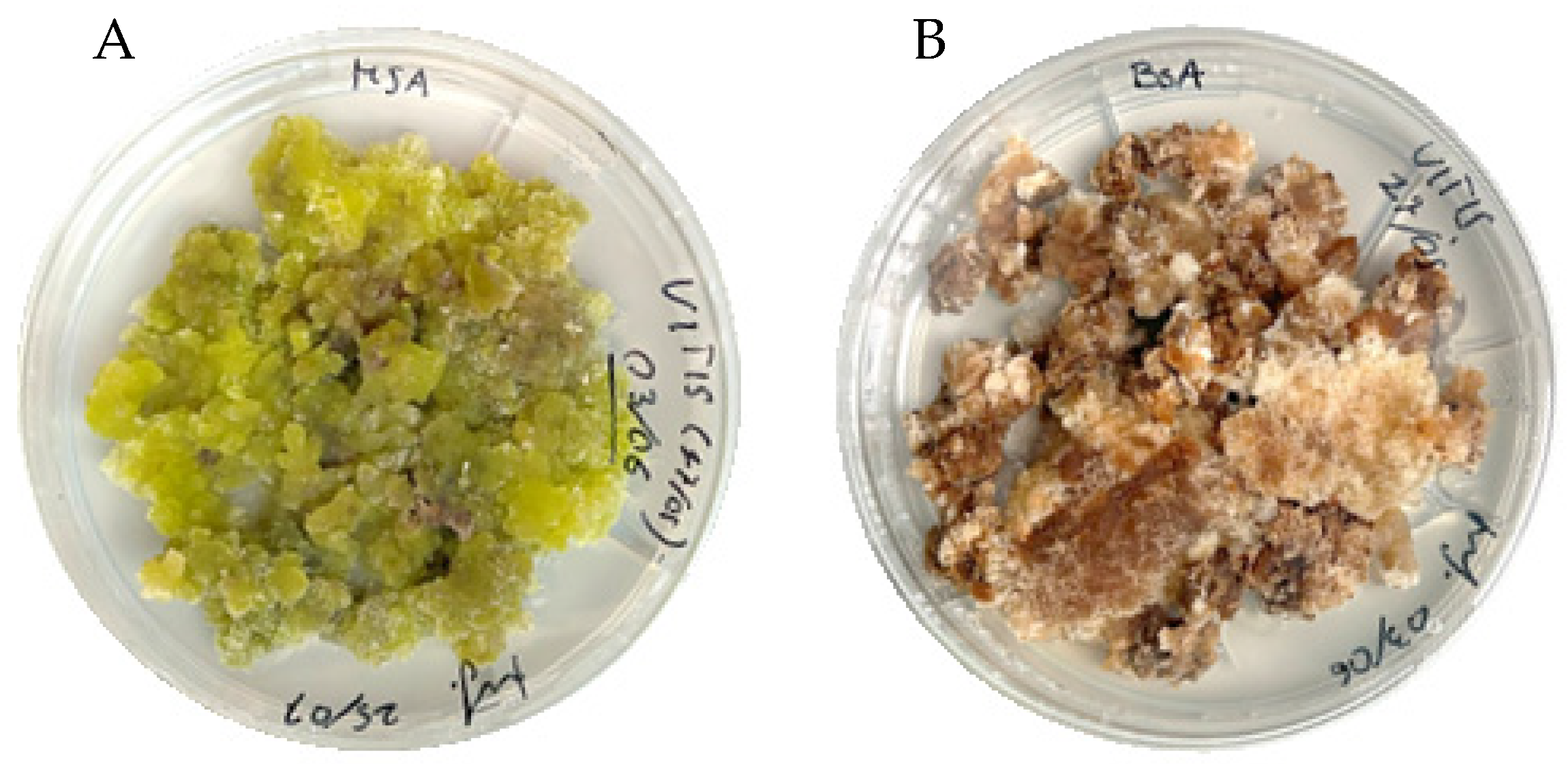 Applsci 15 09139 g001 Applsci 15 09139 g001