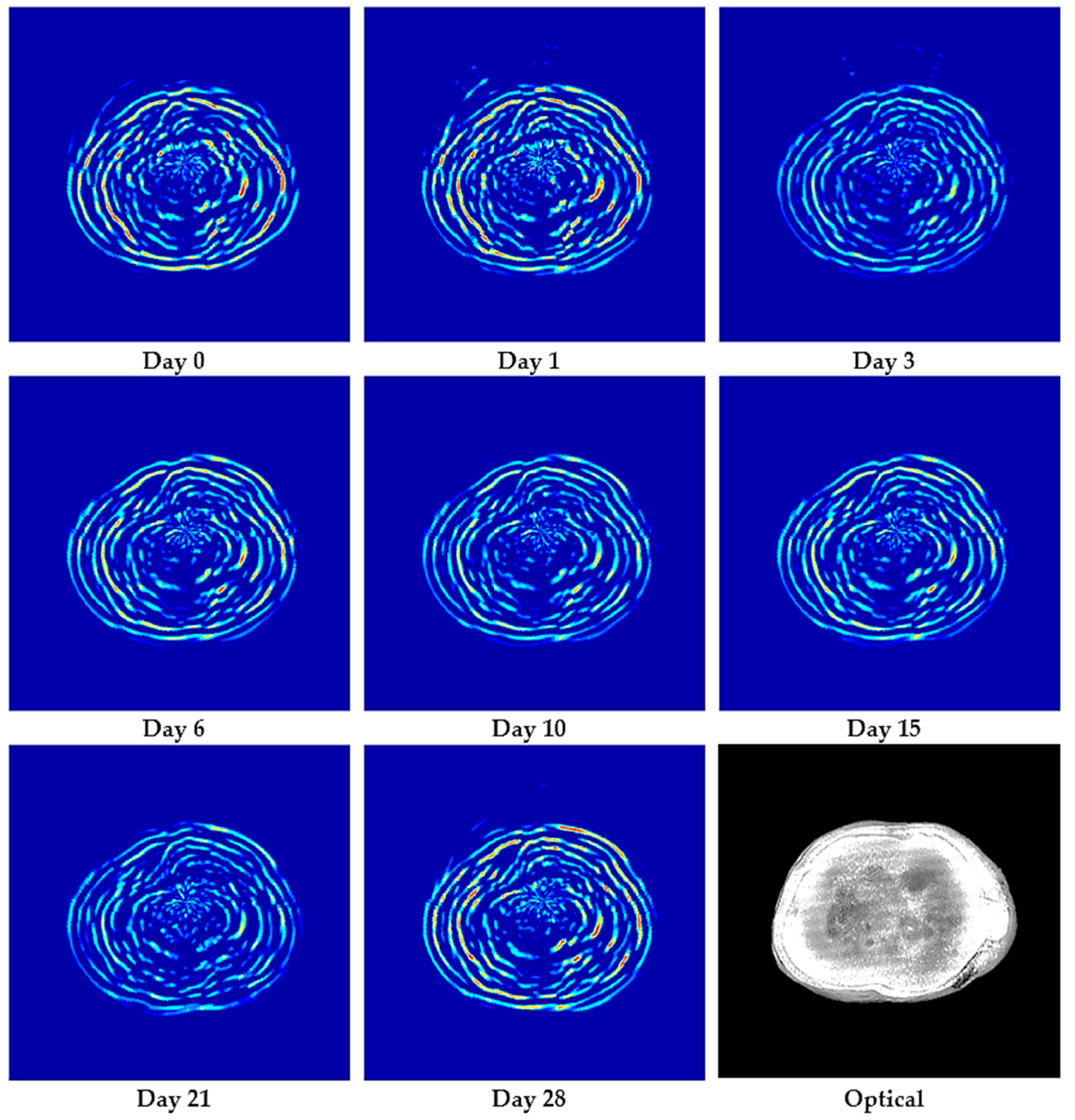 Applsci 15 09146 g003