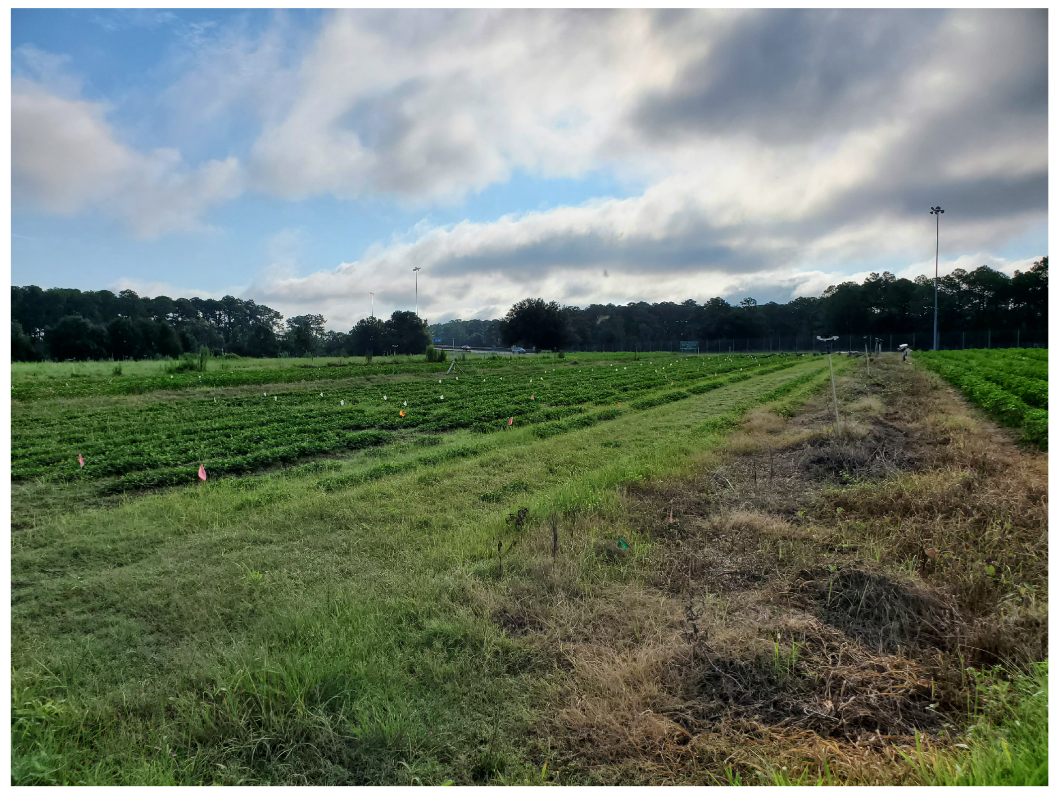 Applsci 15 09159 g002