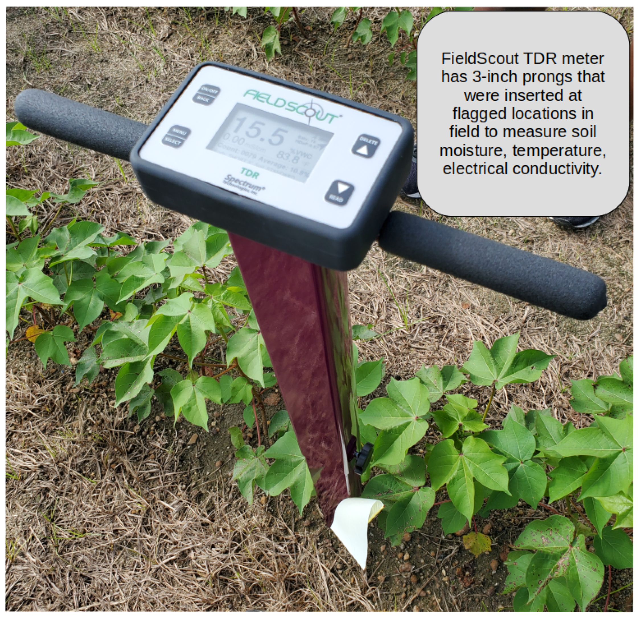 Applsci 15 09159 g003