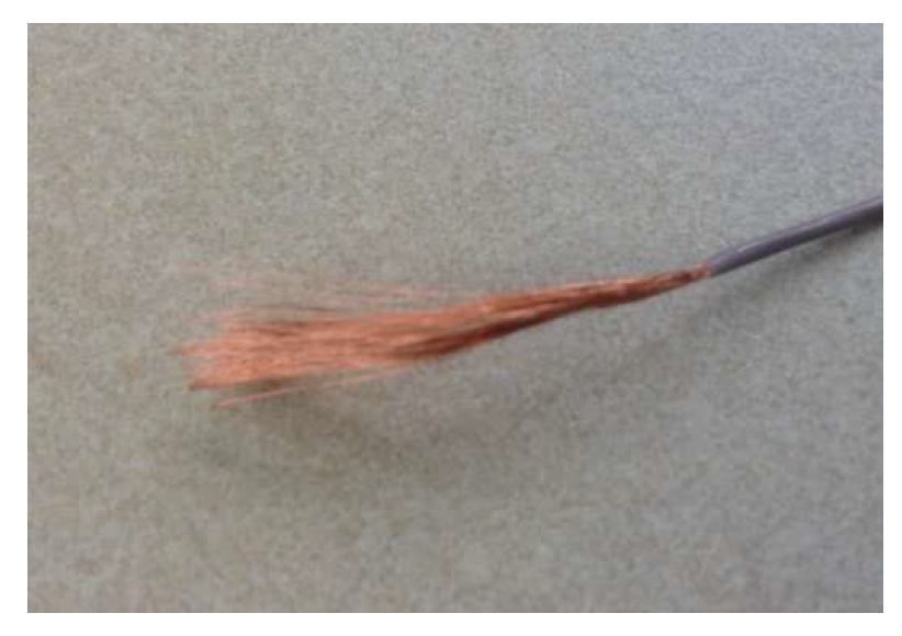 Applsci 15 09185 g001 Applsci 15 09185 g001