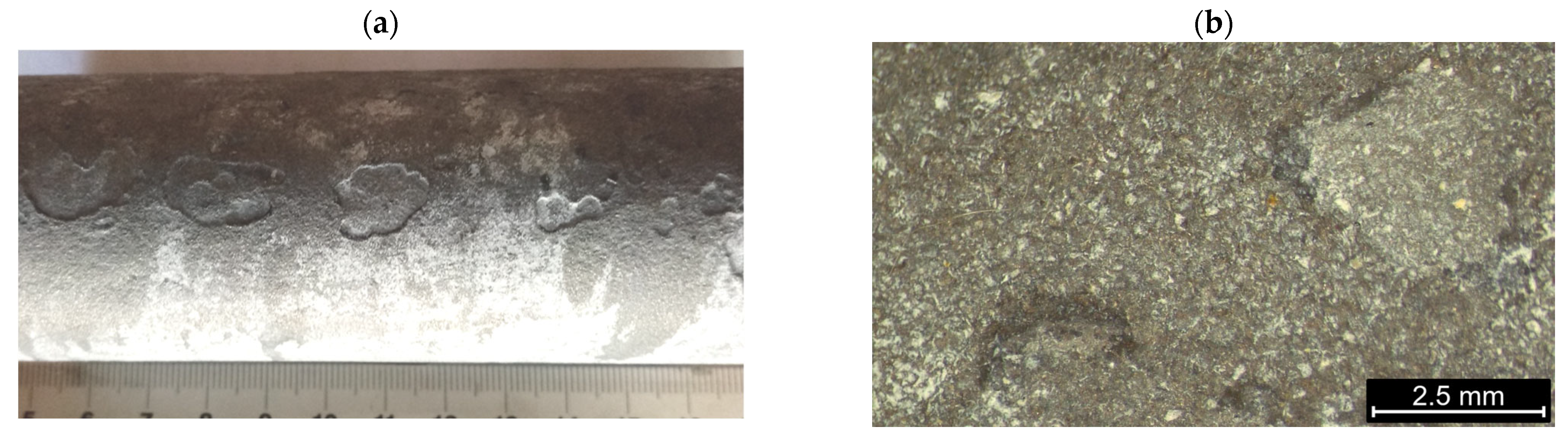 Applsci 15 09188 g001 Applsci 15 09188 g001