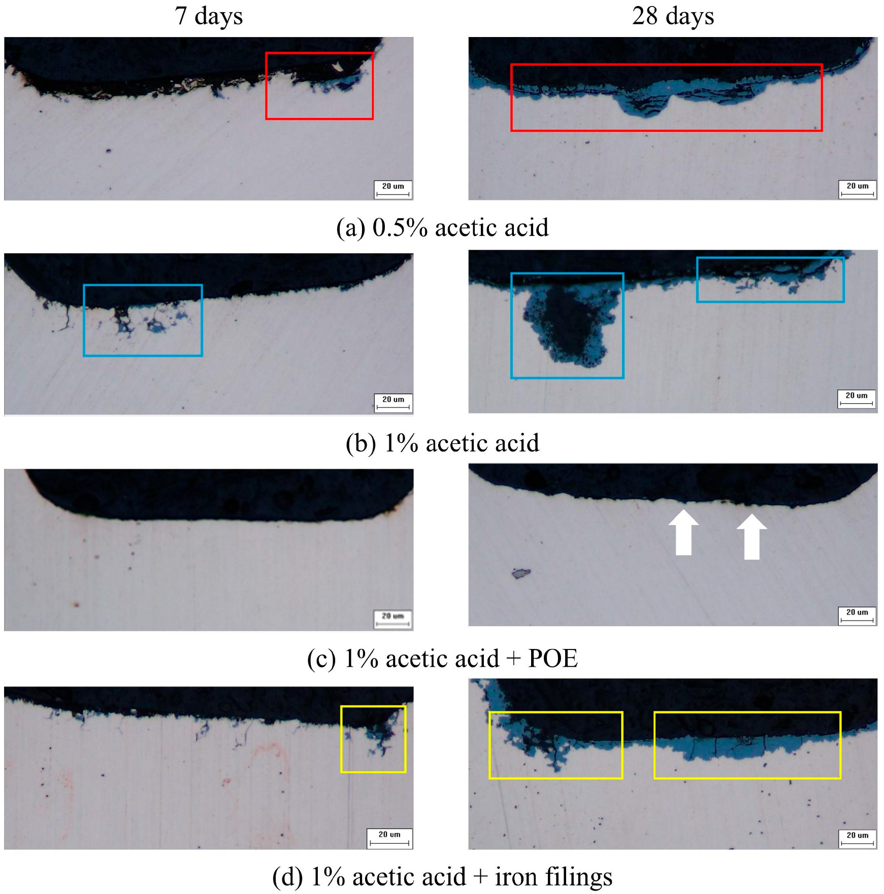 Applsci 15 09224 g003