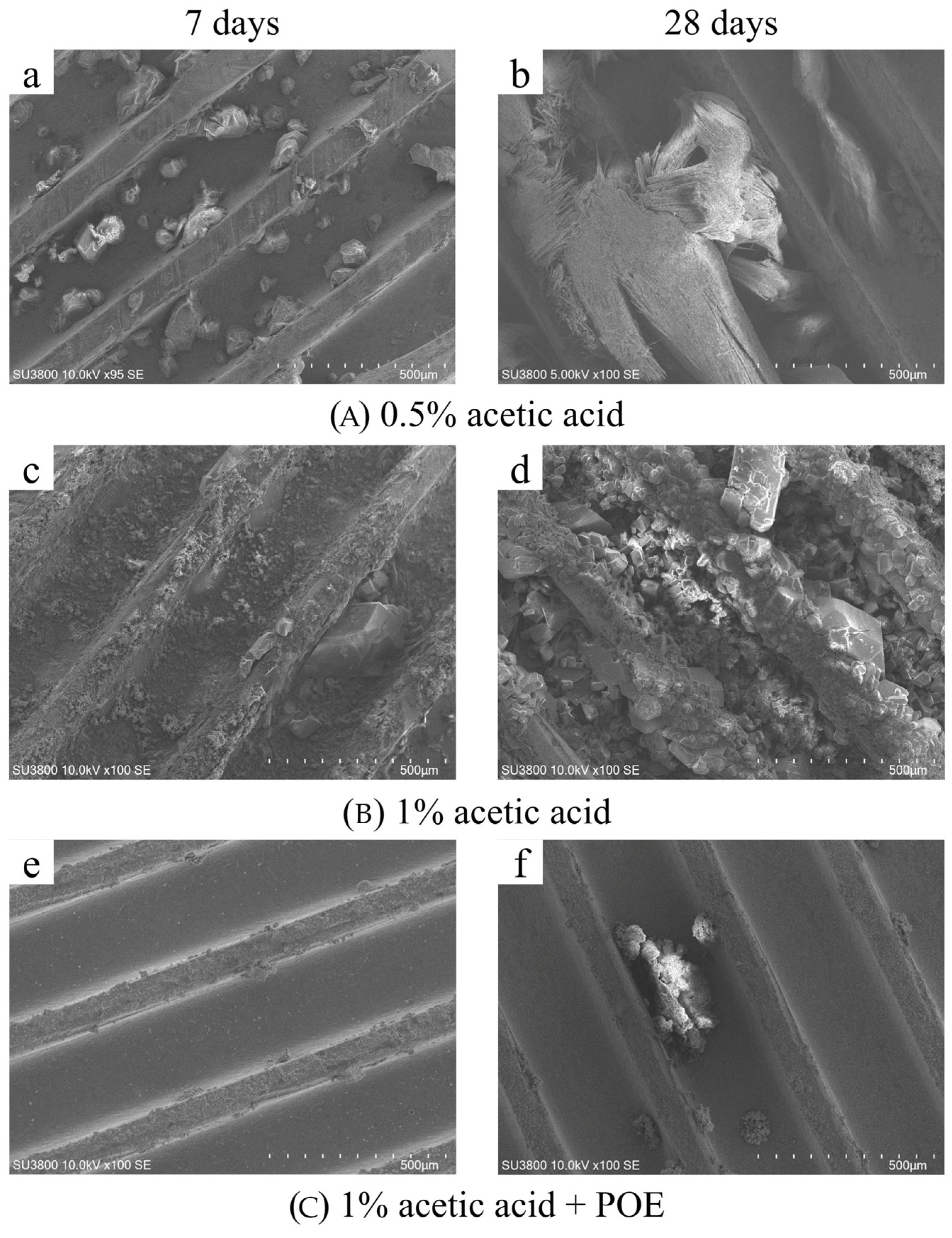 Applsci 15 09224 g004