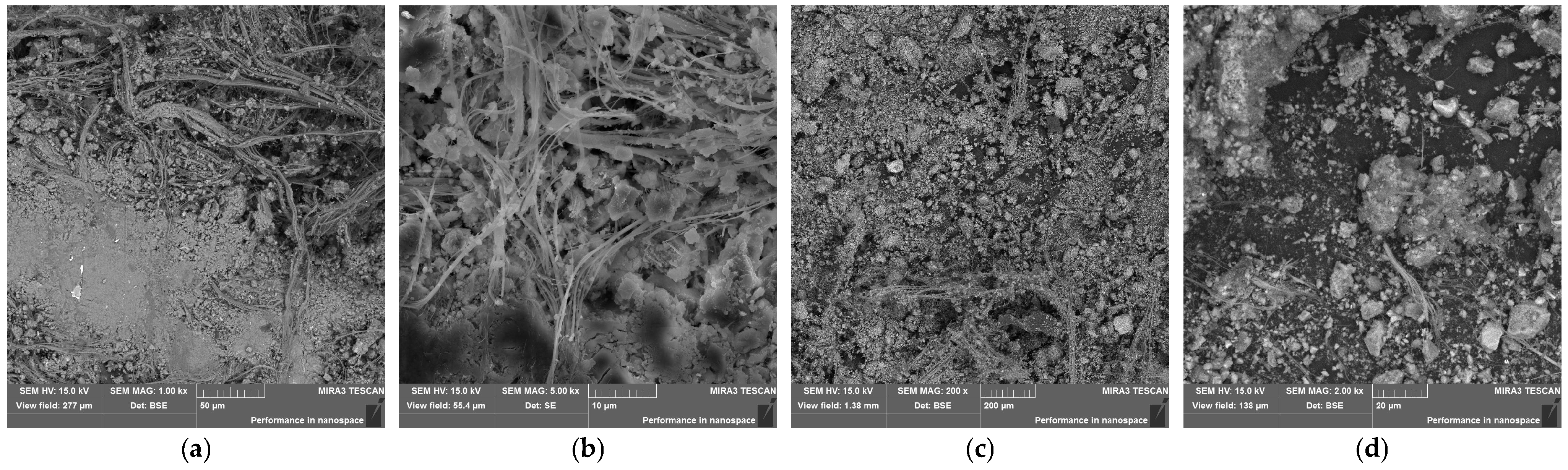 Applsci 15 09225 g001 Applsci 15 09225 g001