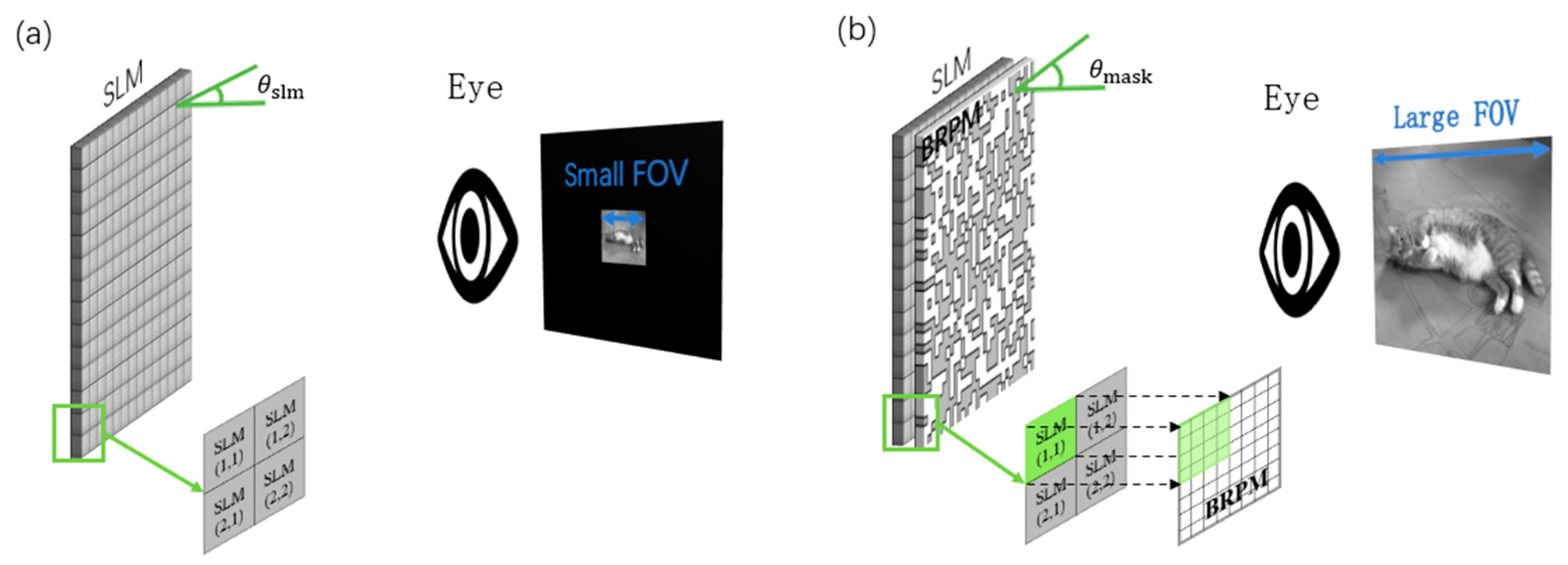 Applsci 15 09237 g001 Applsci 15 09237 g001