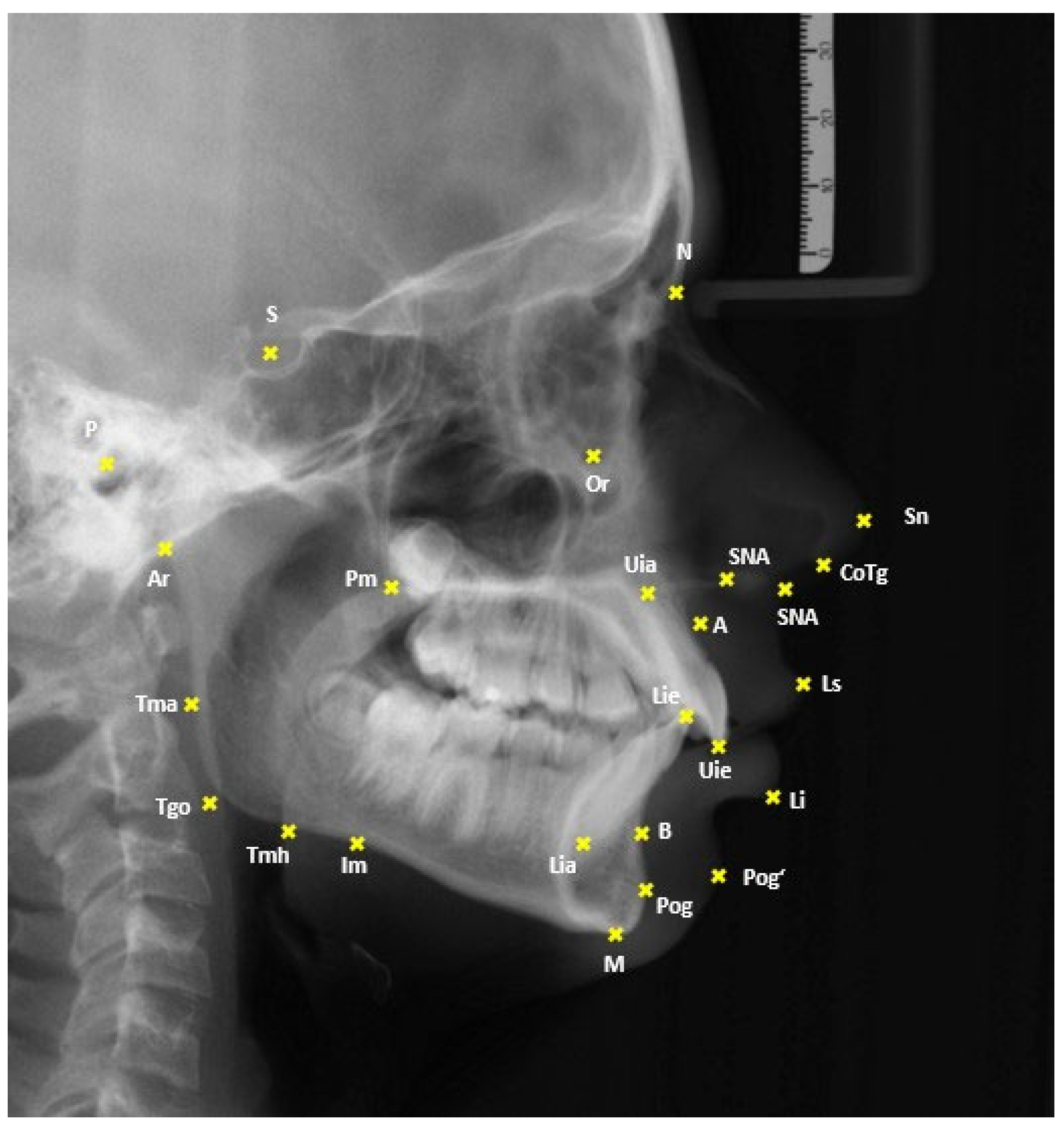Applsci 15 09265 g001 Applsci 15 09265 g001