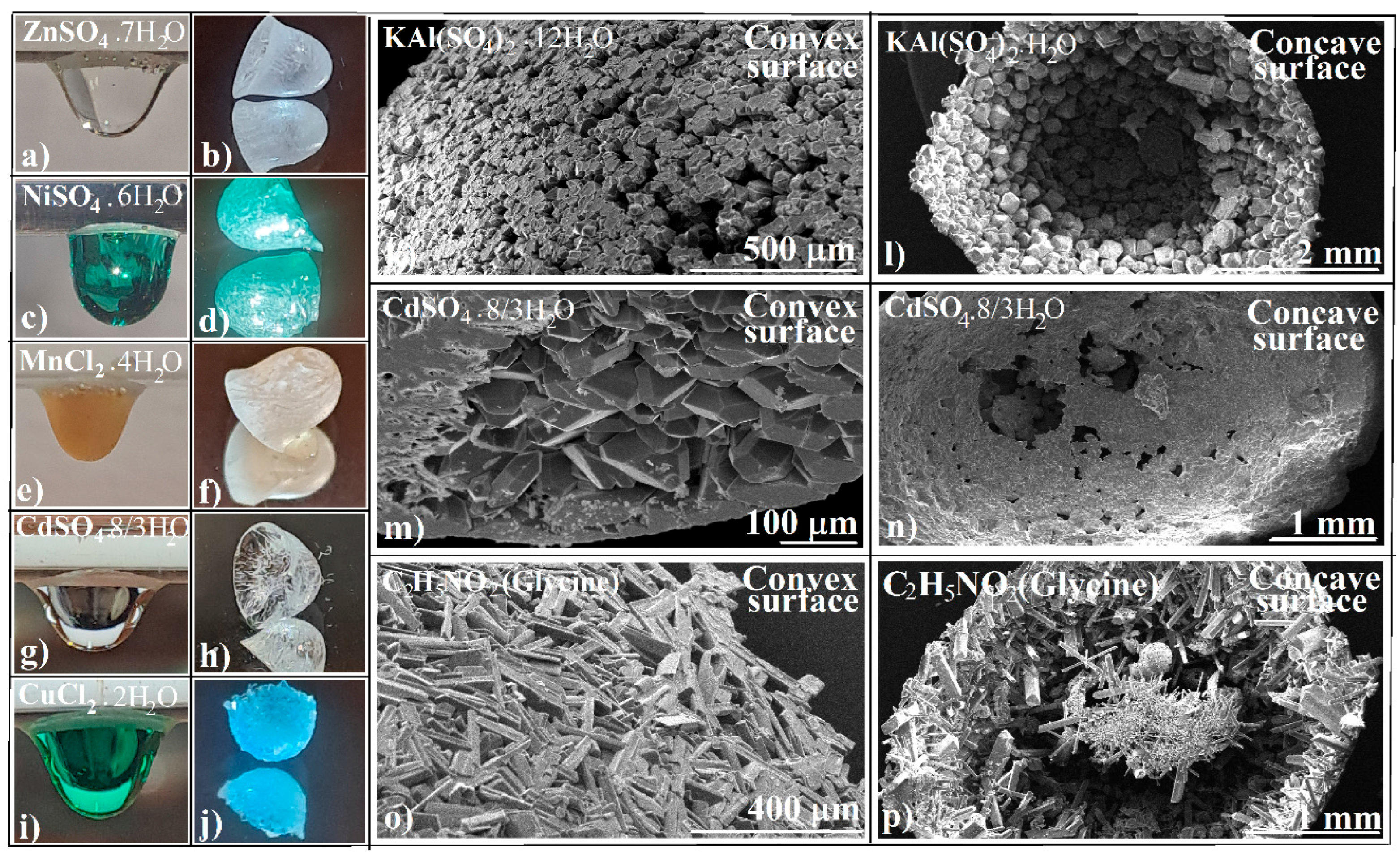 Applsci 15 09280 g004