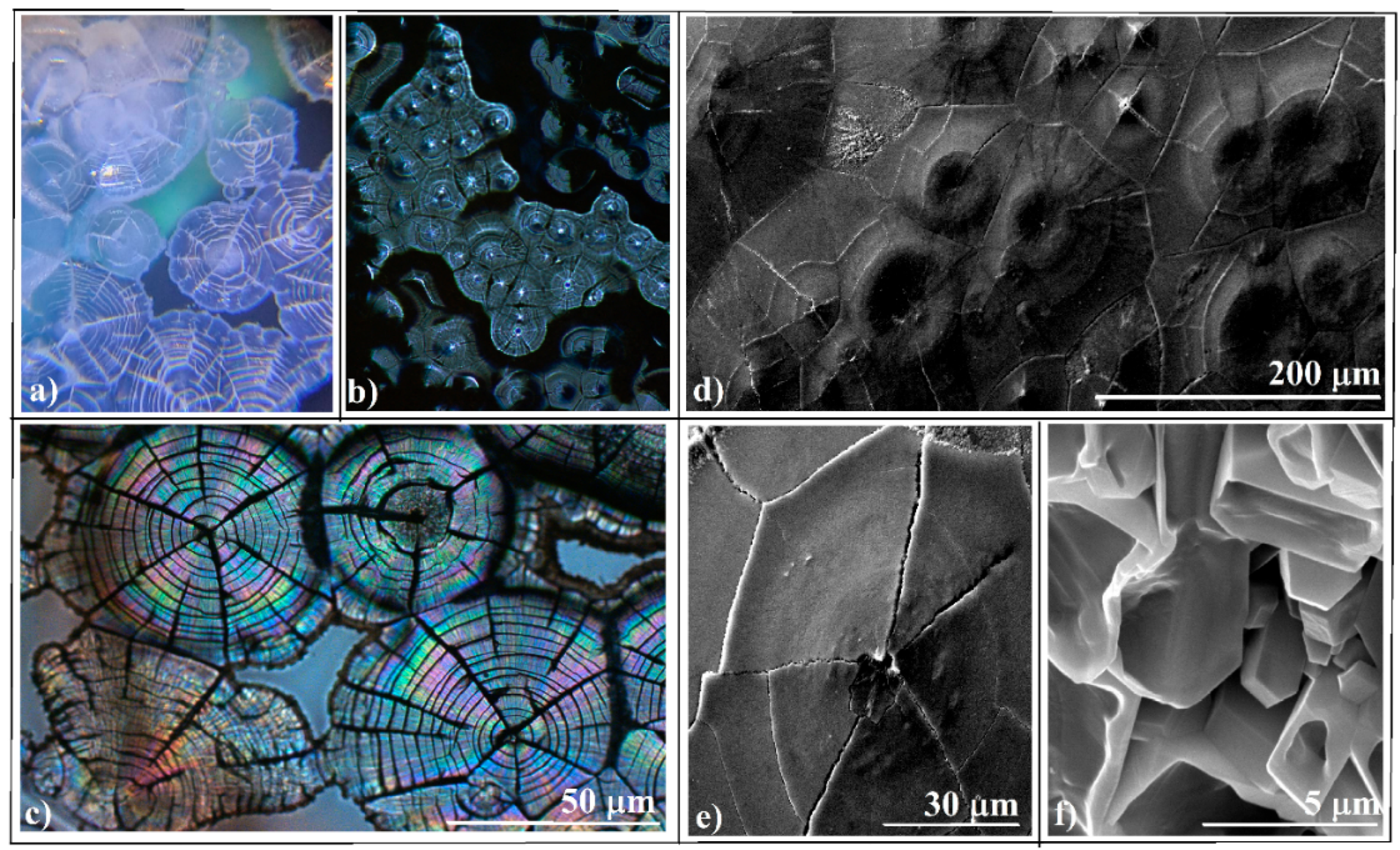 Applsci 15 09280 g005