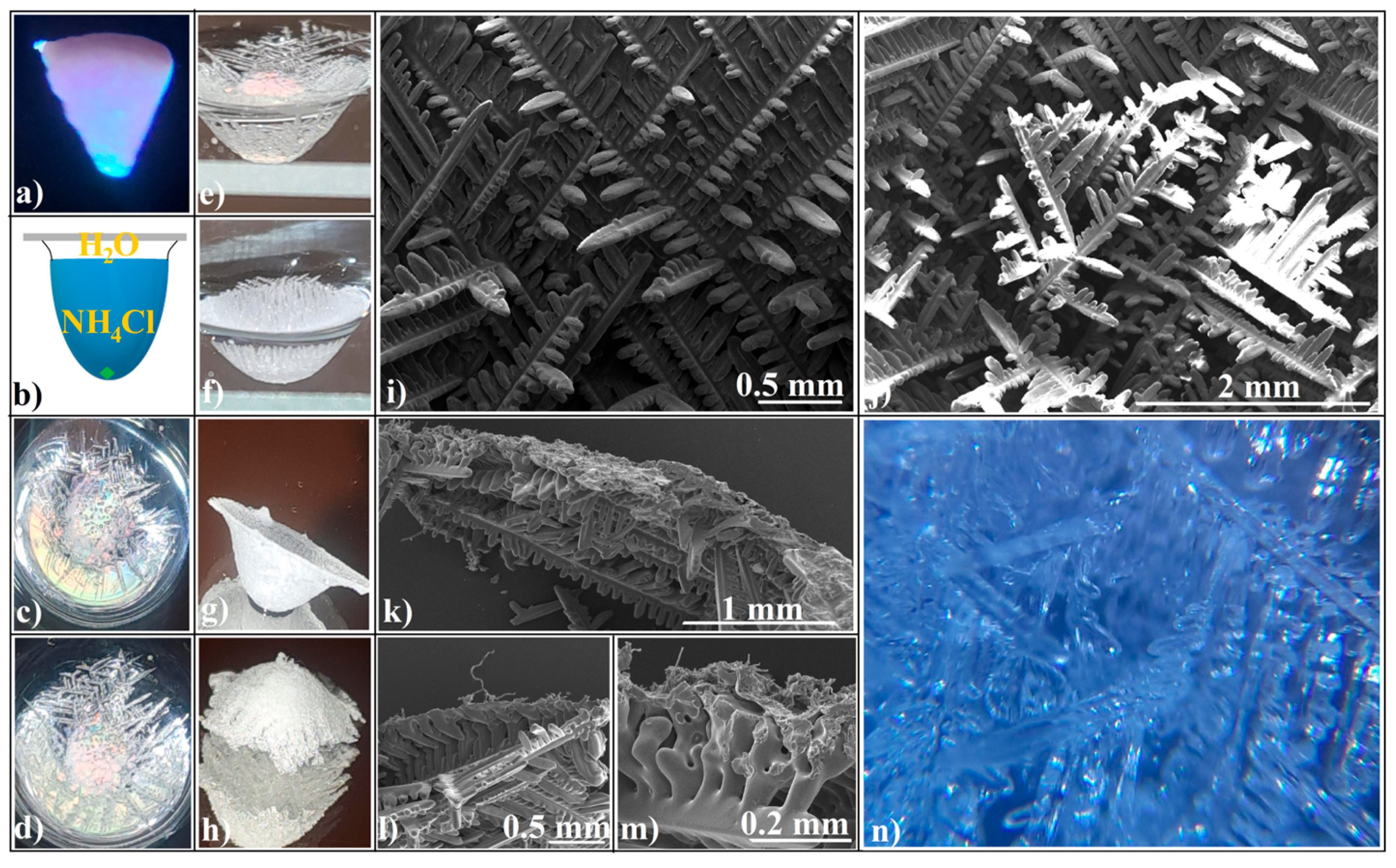 Applsci 15 09280 g010