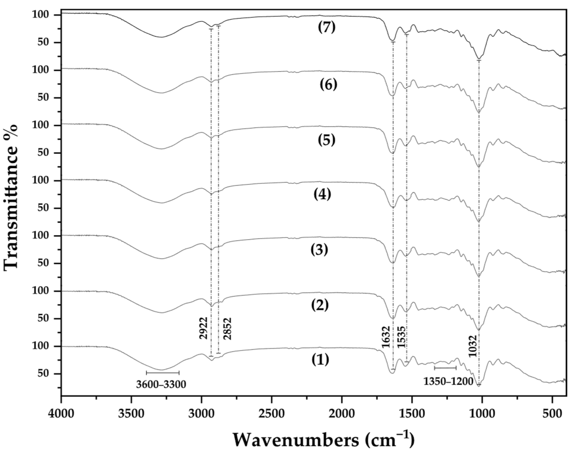 Applsci 15 09282 g003