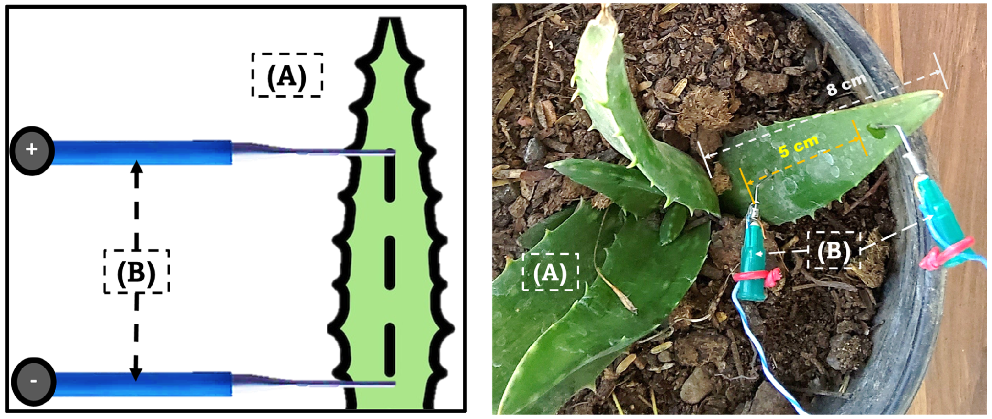 Applsci 15 09319 g003