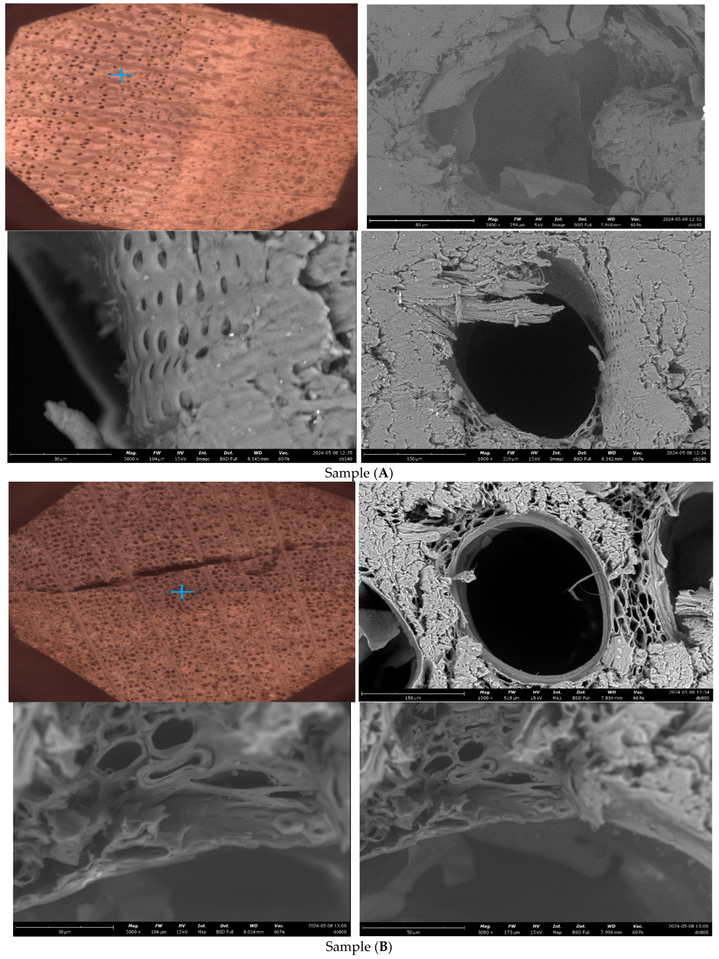 Applsci 15 09322 g002a