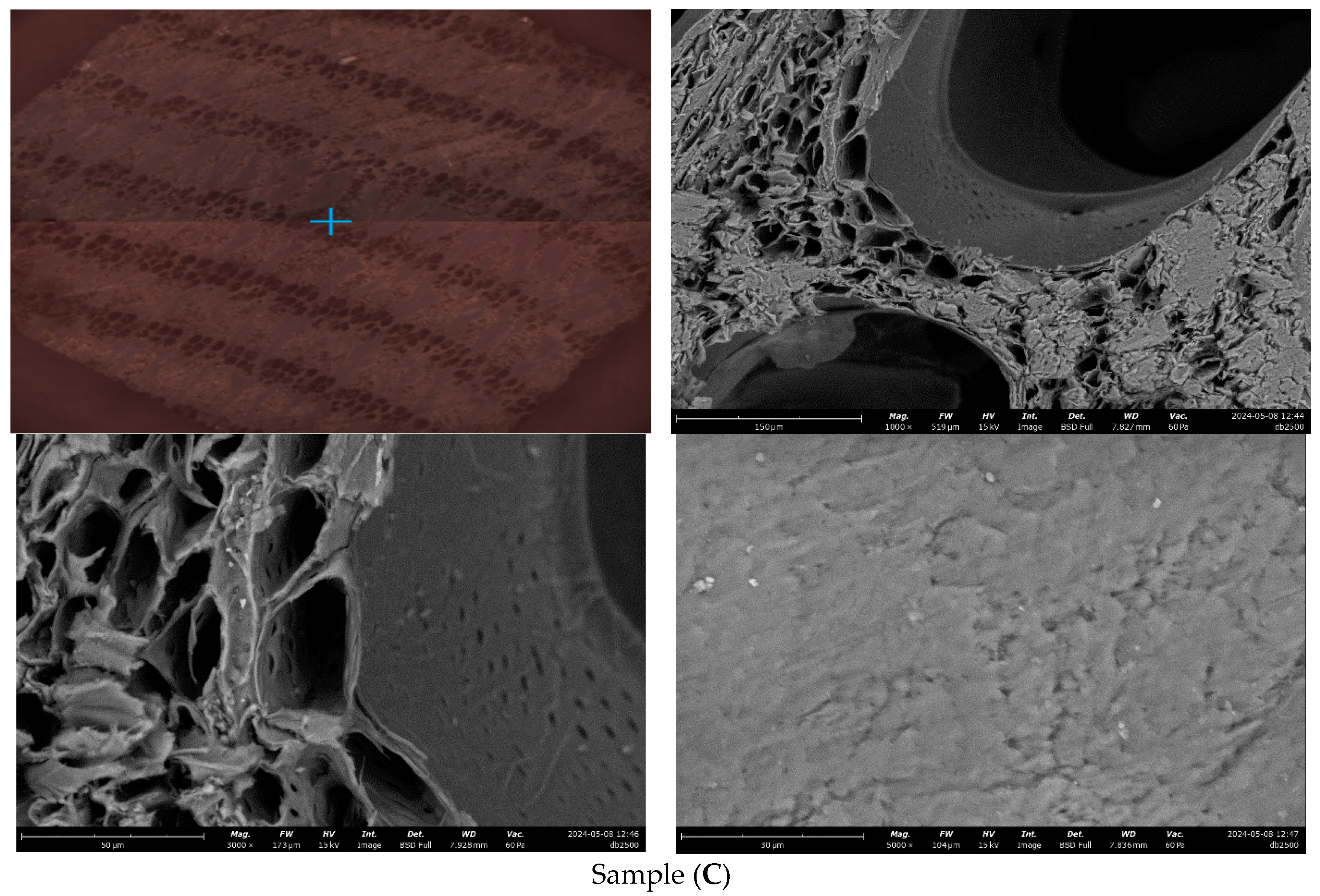 Applsci 15 09322 g002b