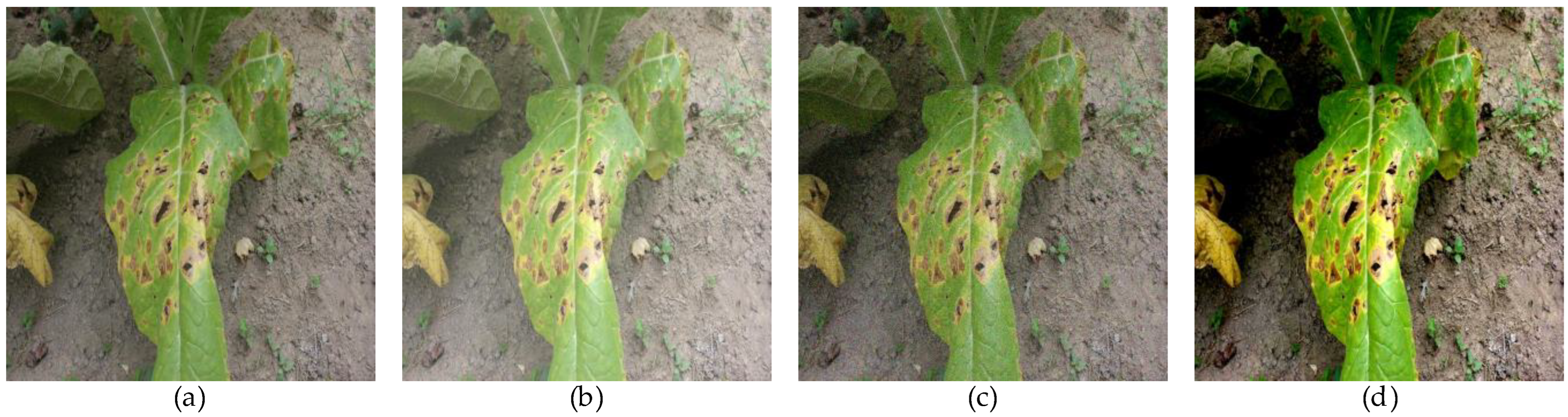 Applsci 15 09341 g002