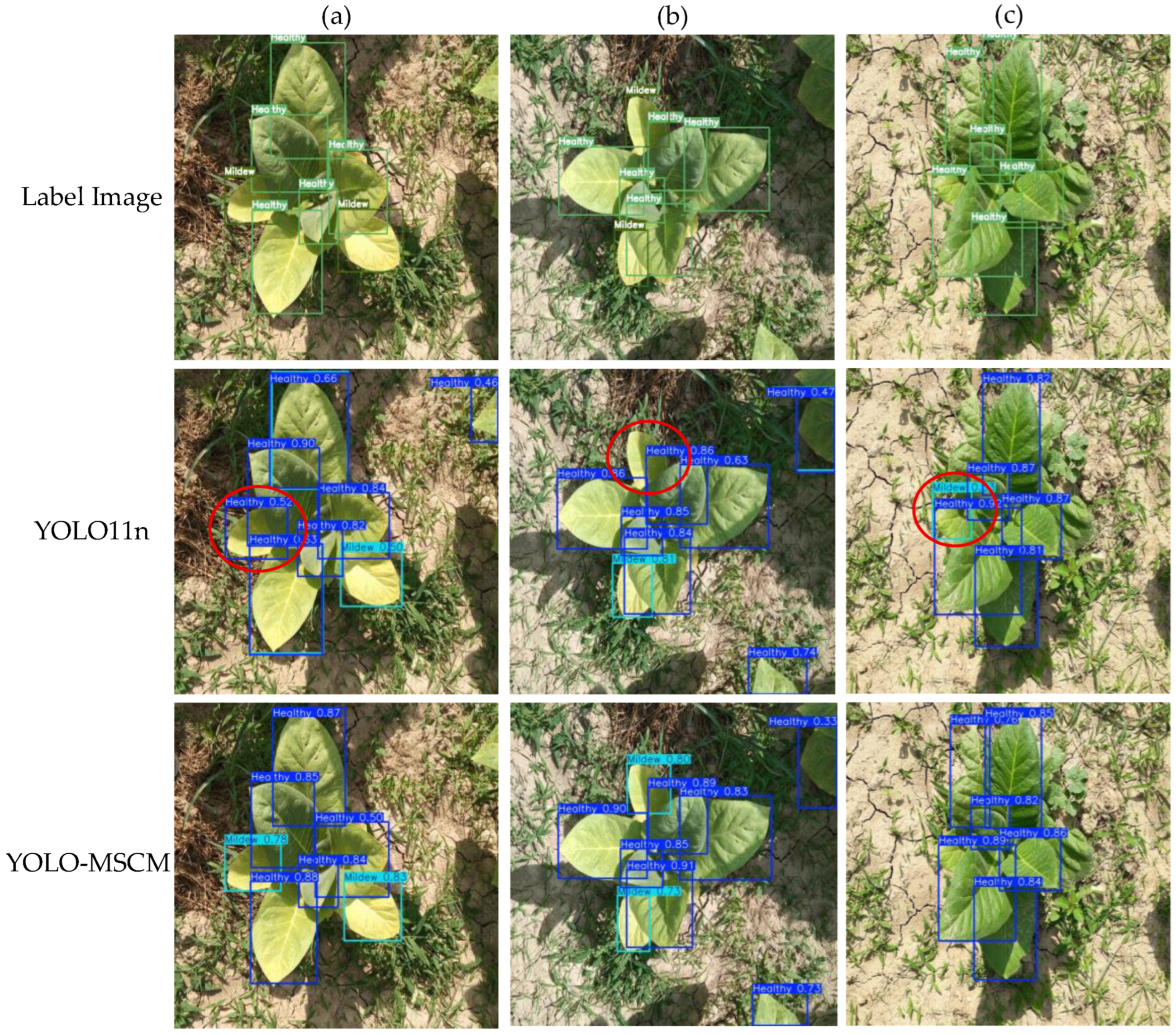 Applsci 15 09341 g011