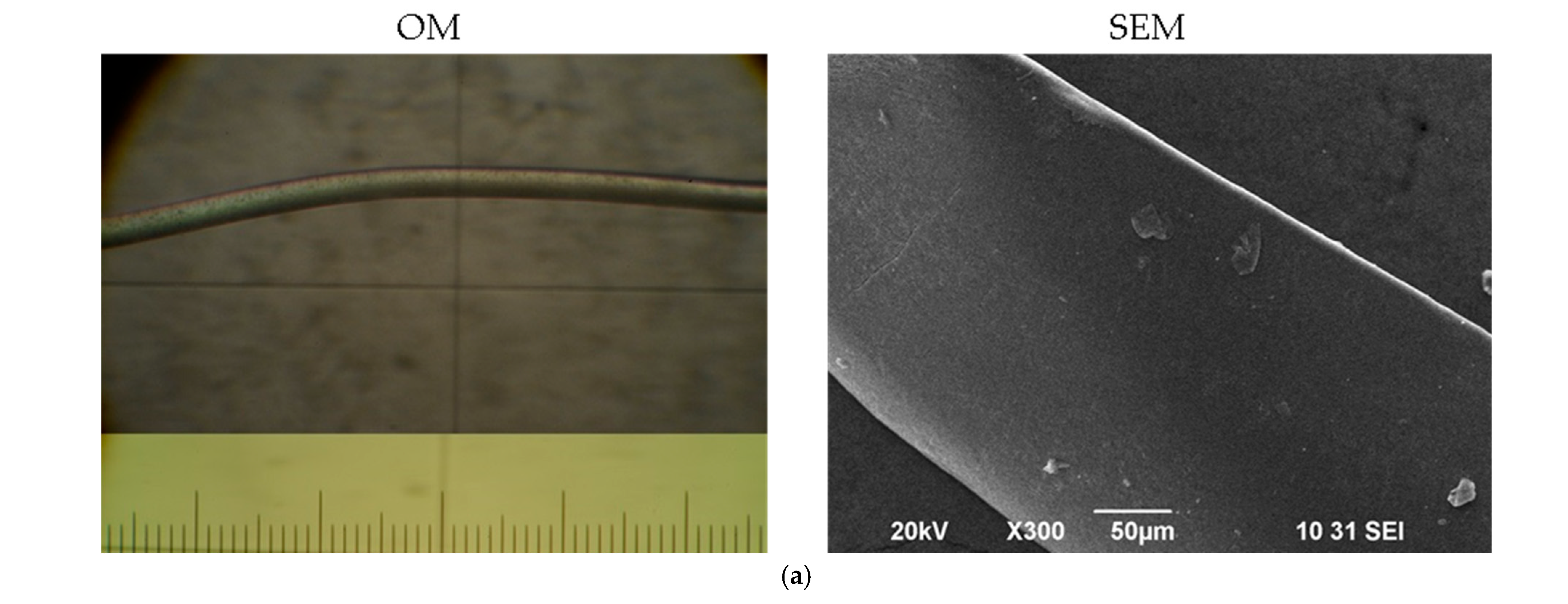 Applsci 15 09367 g004a