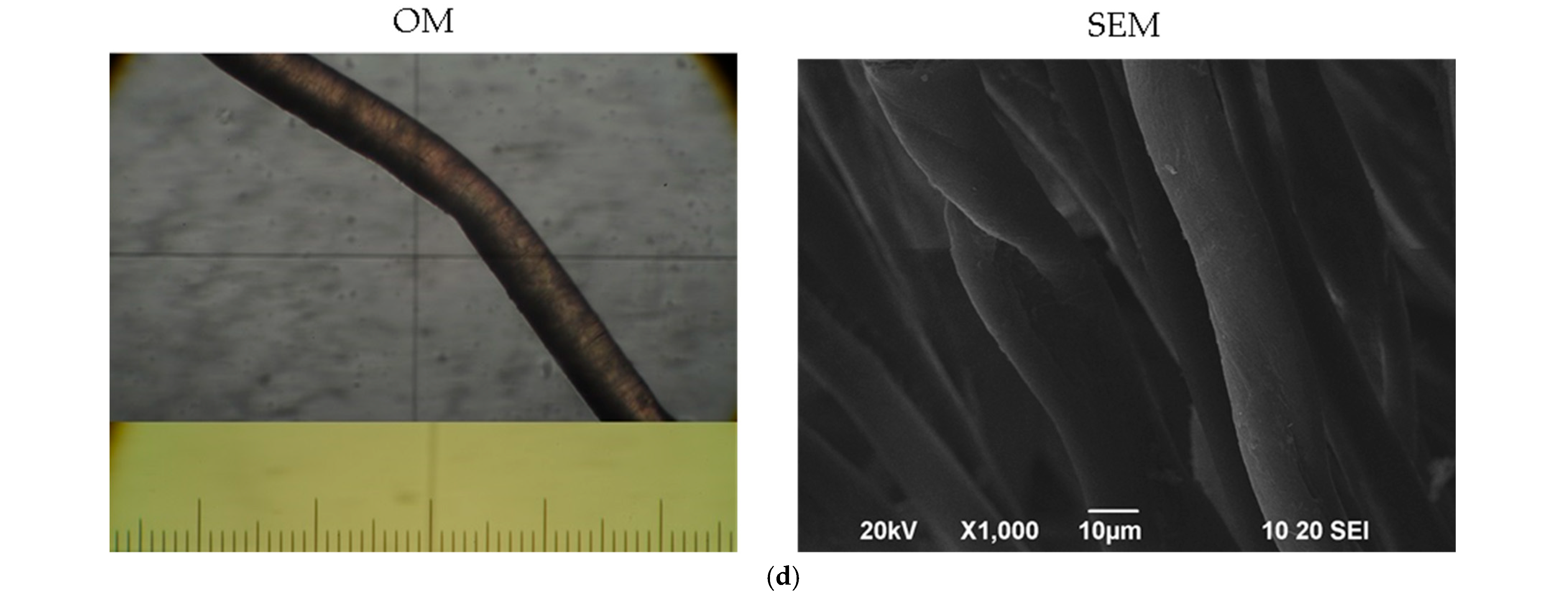 Applsci 15 09367 g004c