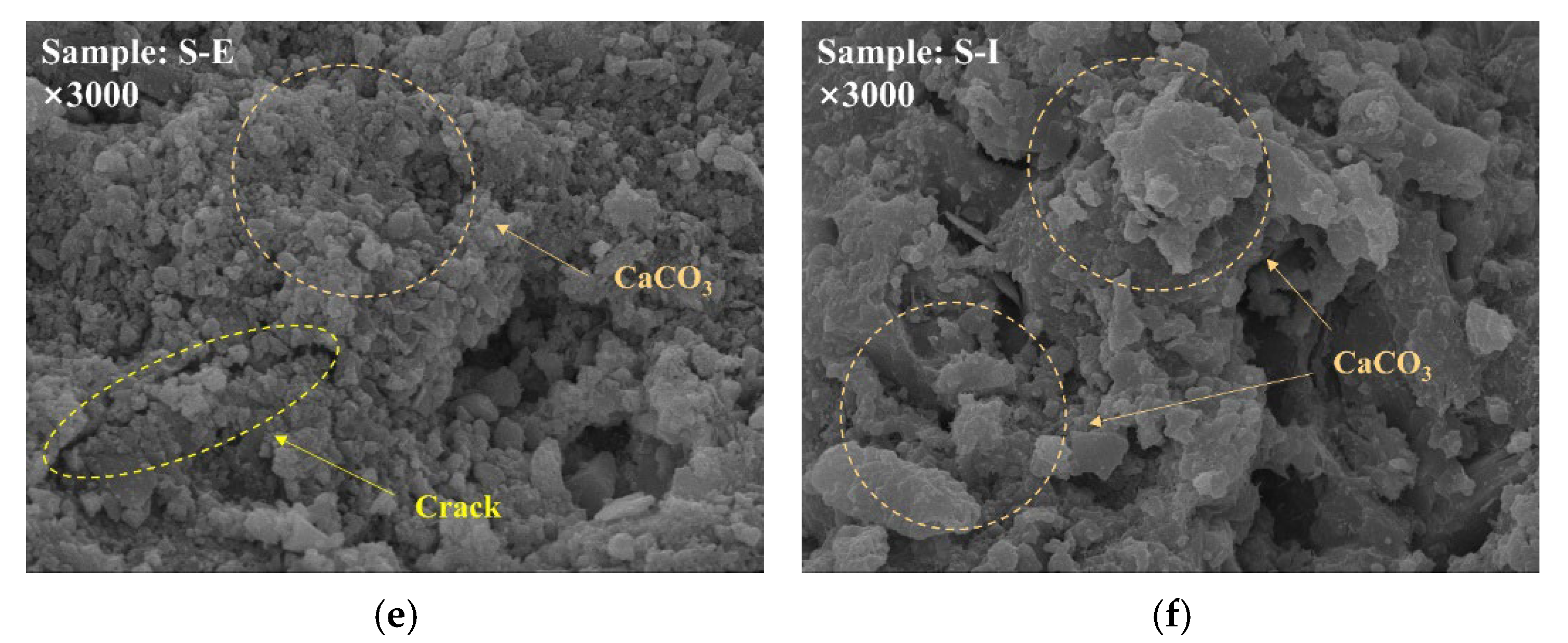 Applsci 15 09415 g005b