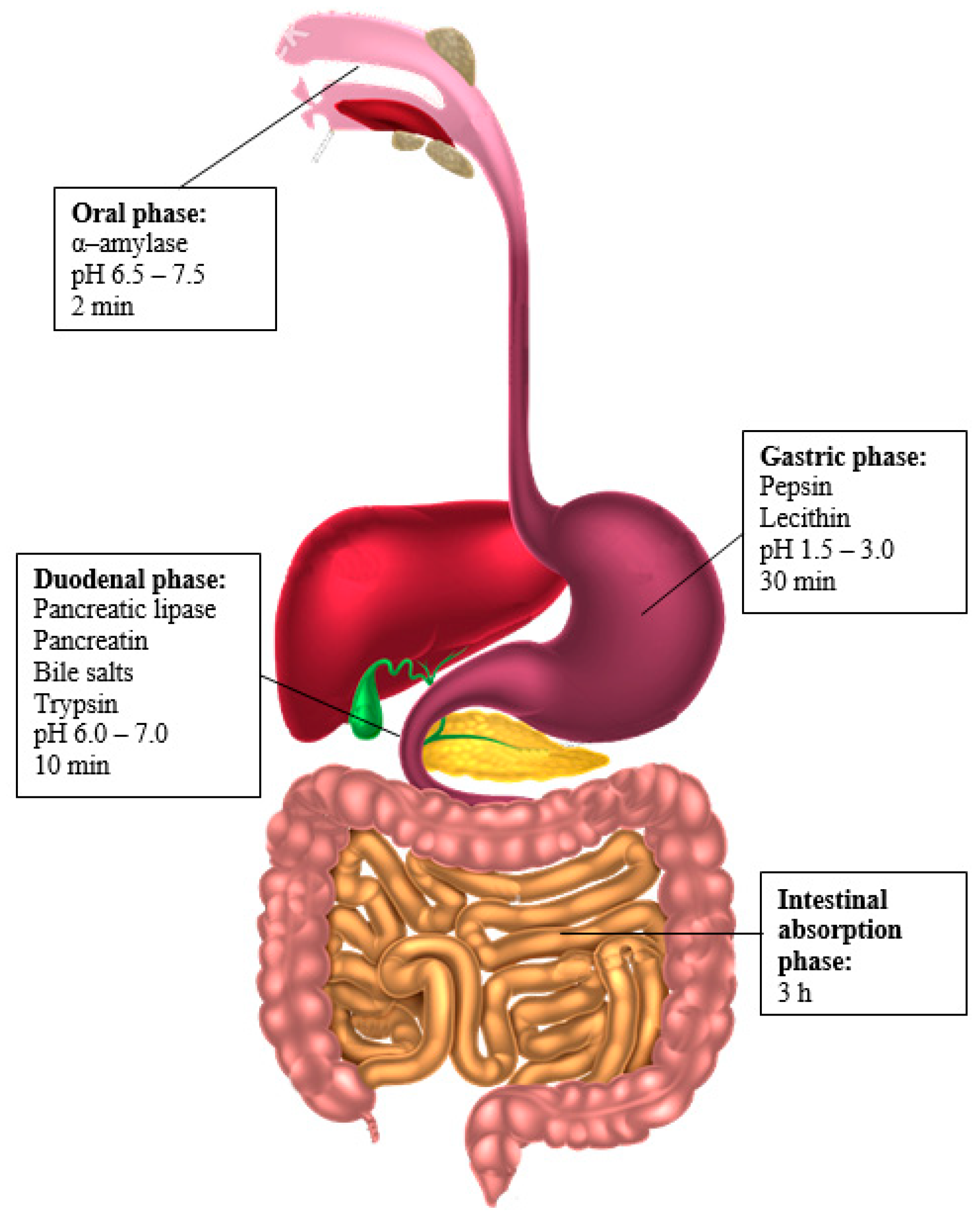 Applsci 15 09417 g001 Applsci 15 09417 g001