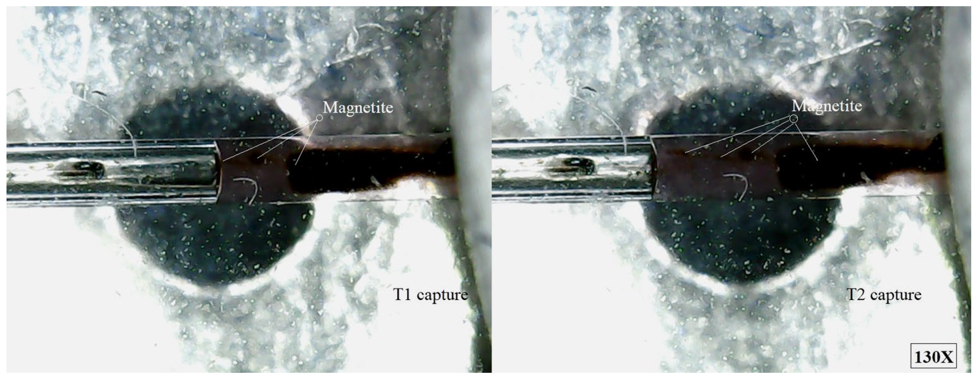 Applsci 15 09430 g010