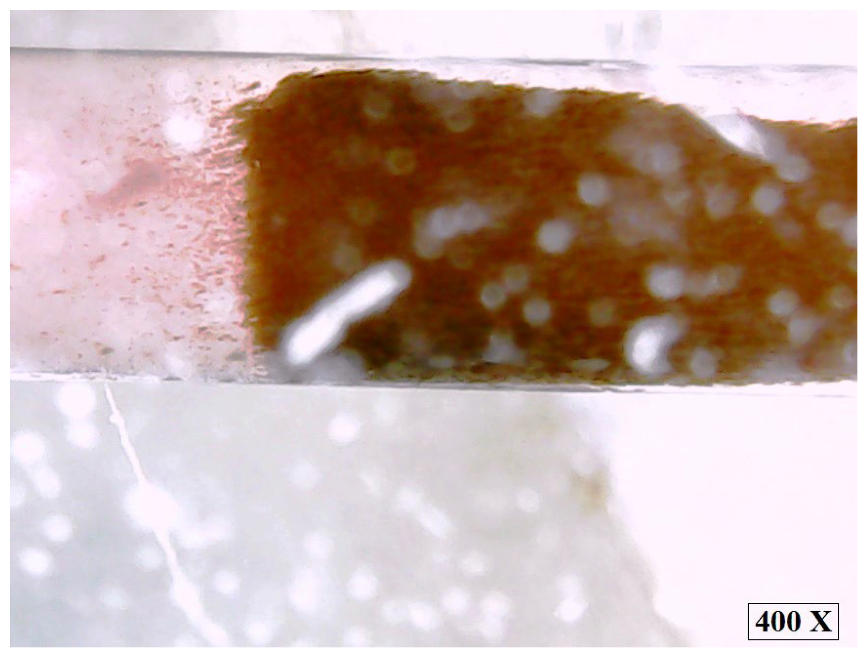 Applsci 15 09430 g011