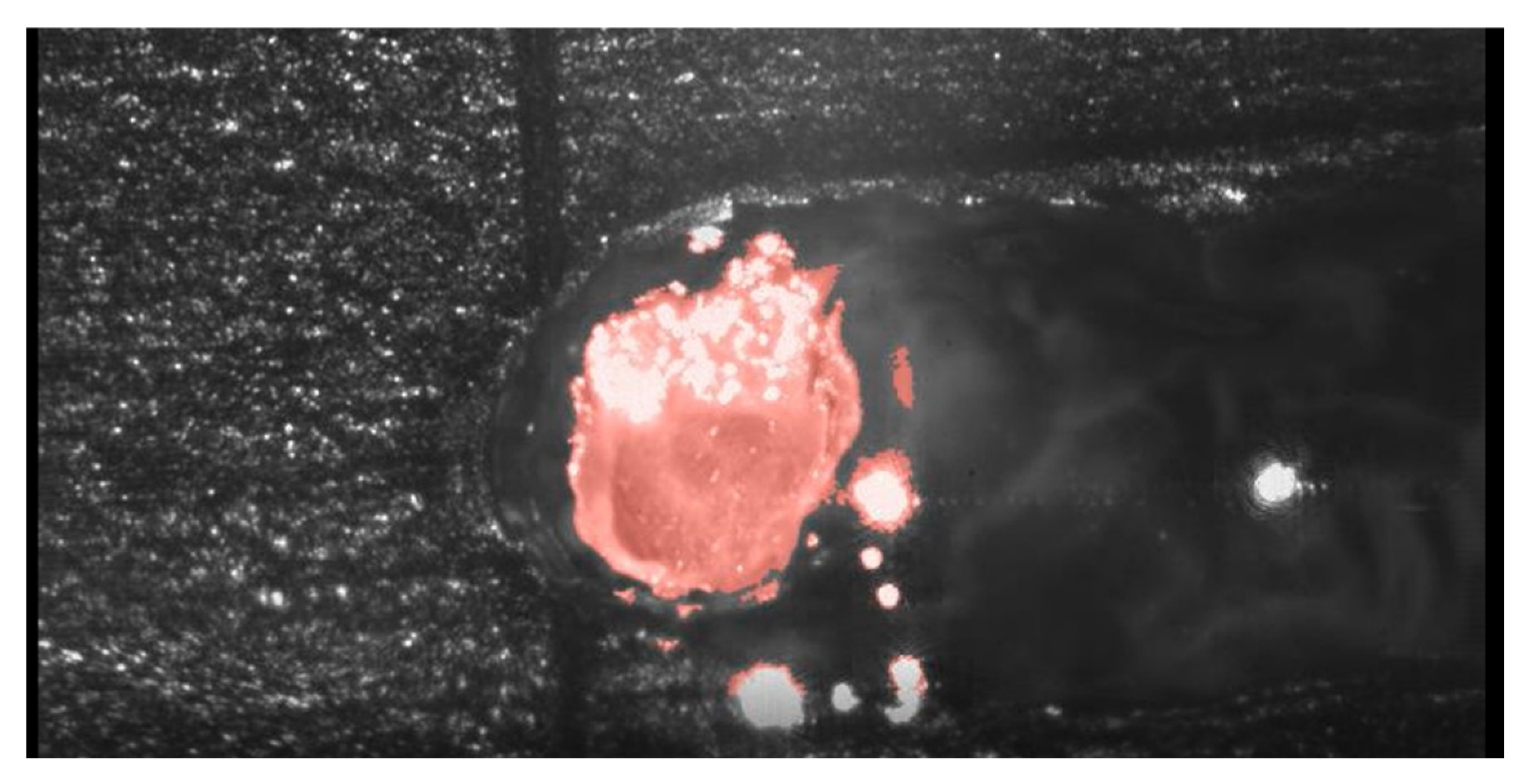 Applsci 15 09432 g005 Applsci 15 09432 g005