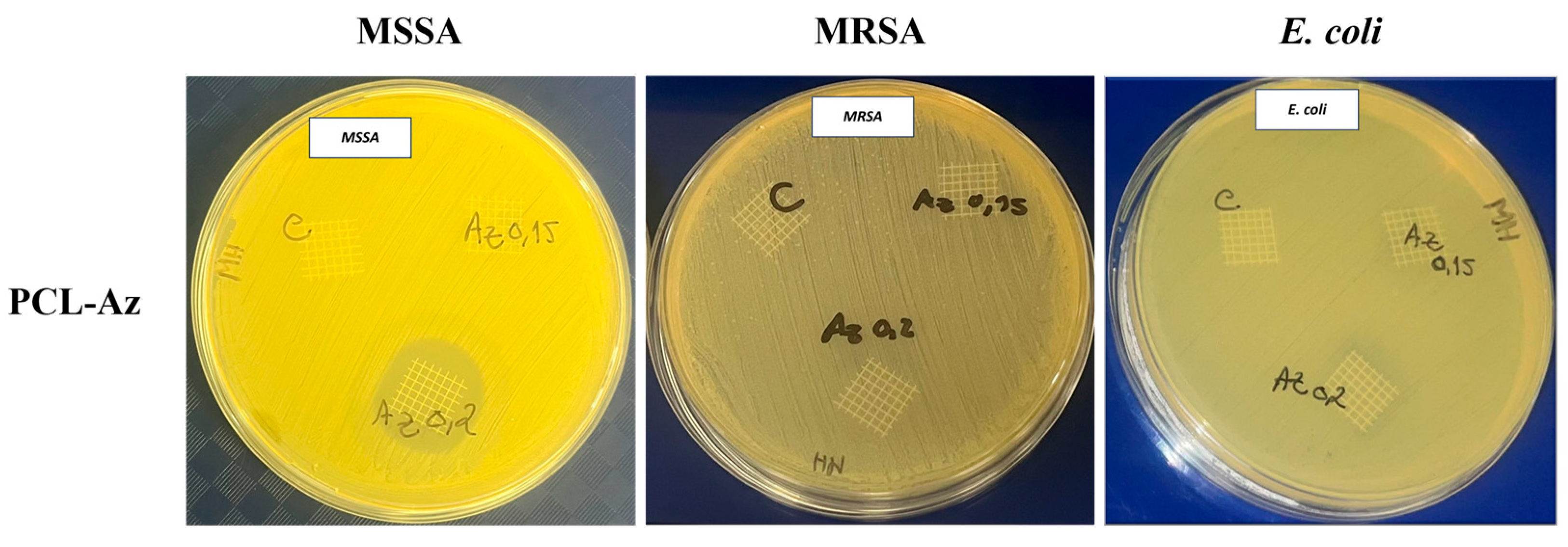 Applsci 15 09436 g011